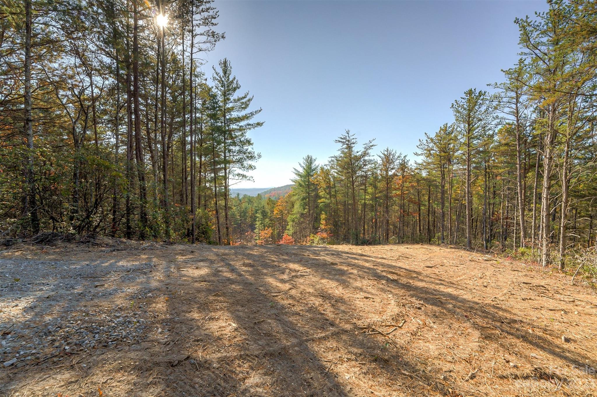 Pisgah Preserve - Land