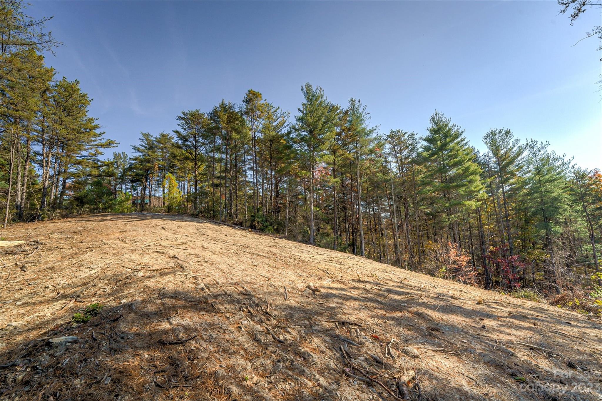 Pisgah Preserve - Land