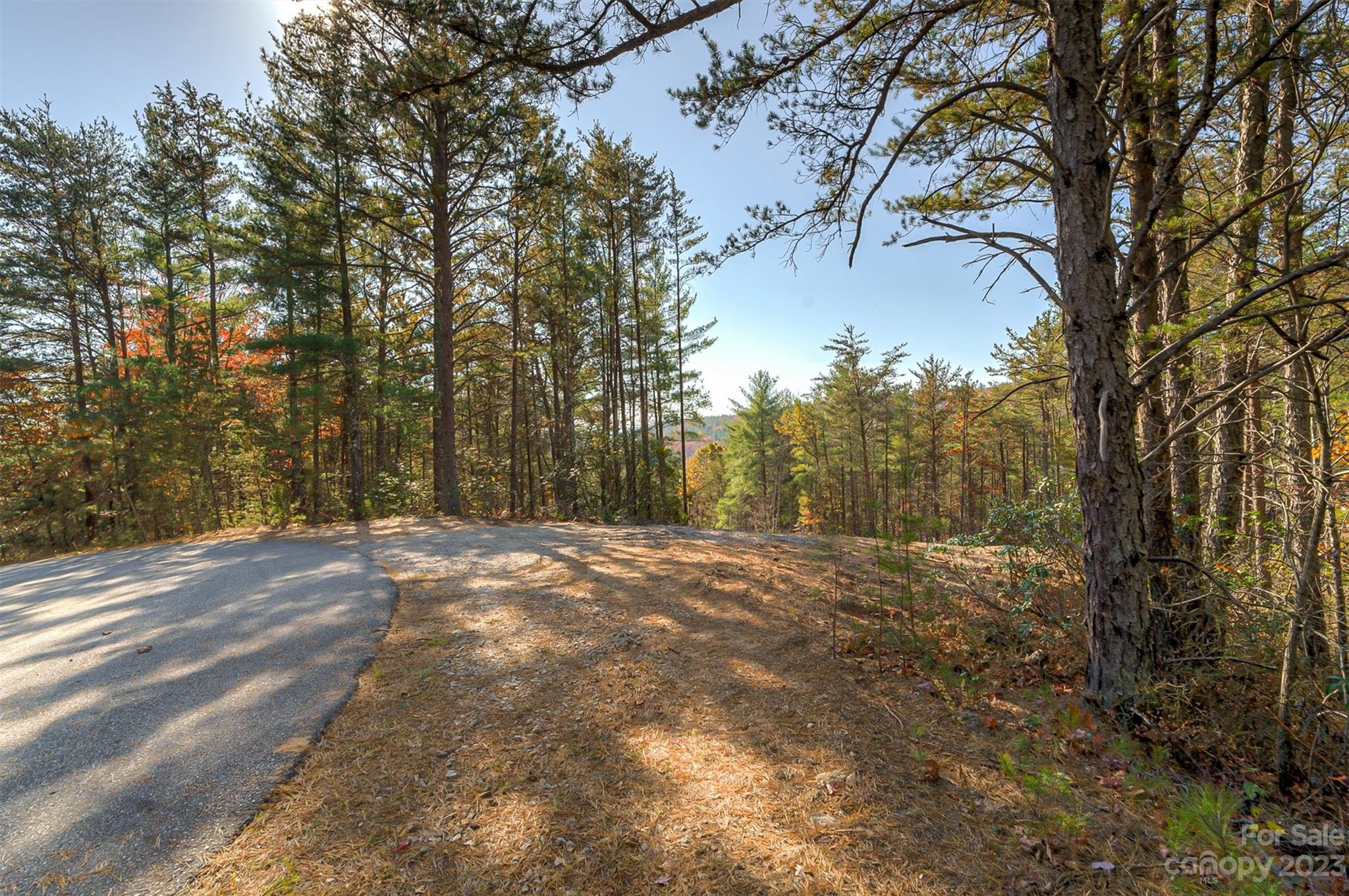 Pisgah Preserve - Land