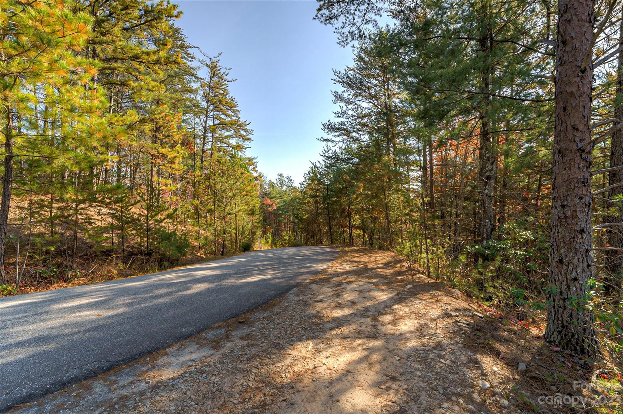 Pisgah Preserve - Land