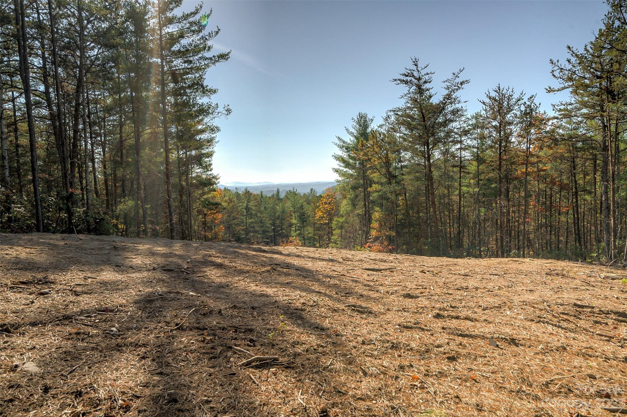 Pisgah Preserve - Land