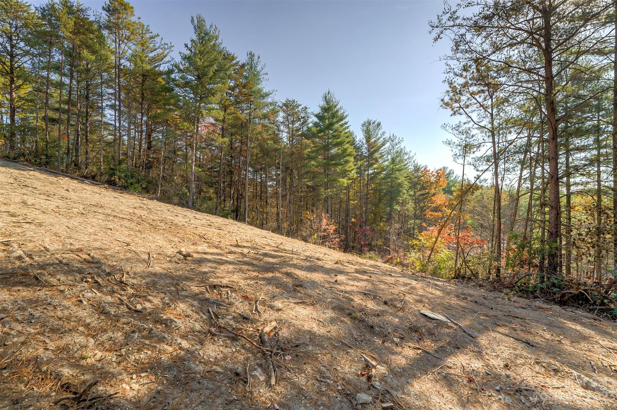 Pisgah Preserve - Land