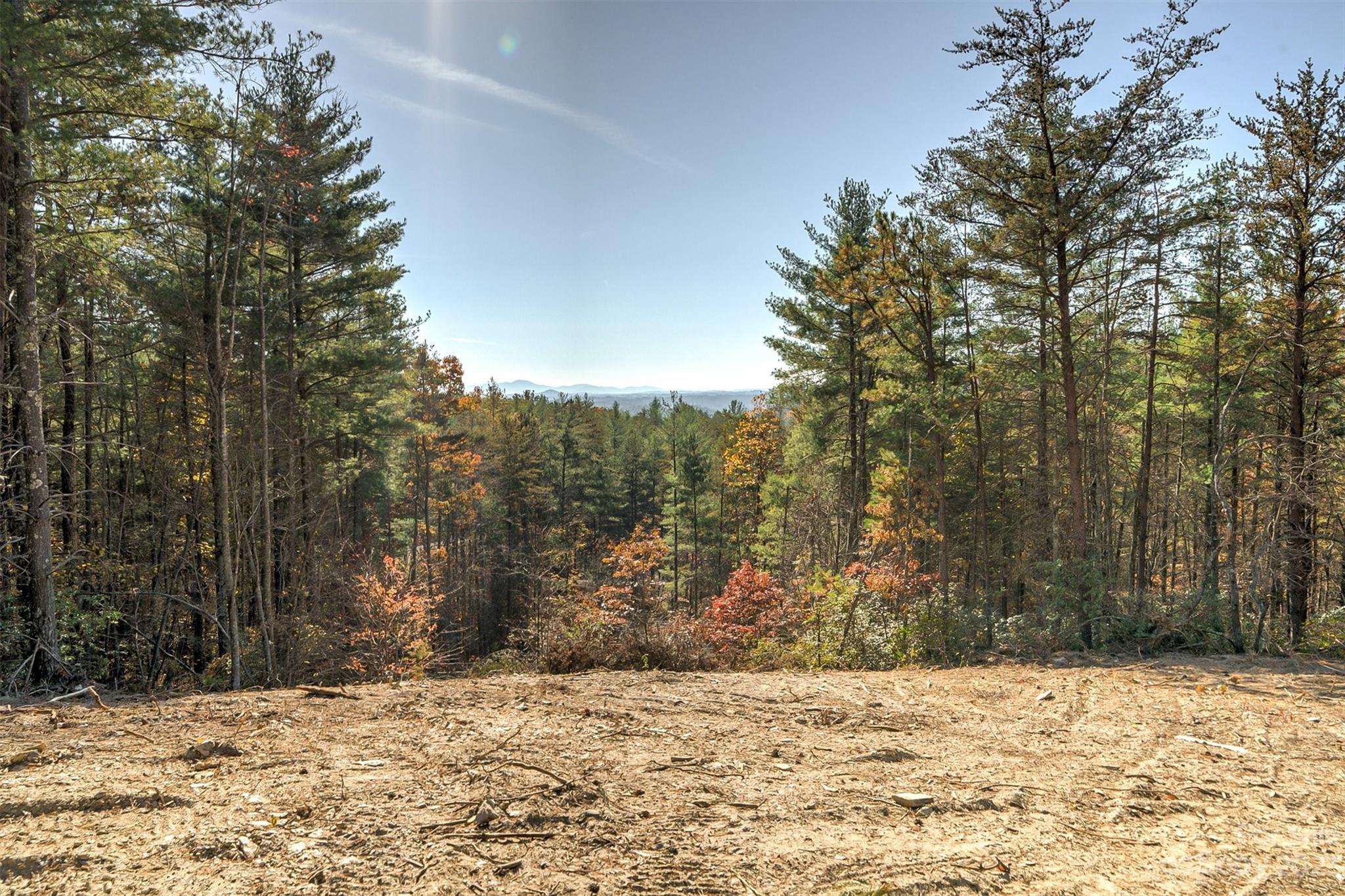 Pisgah Preserve - Land