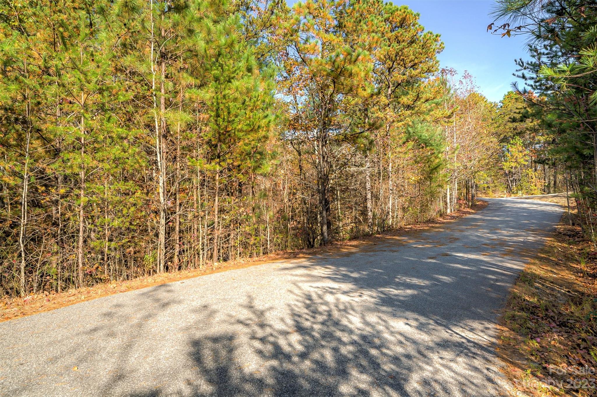 Pisgah Preserve - Land