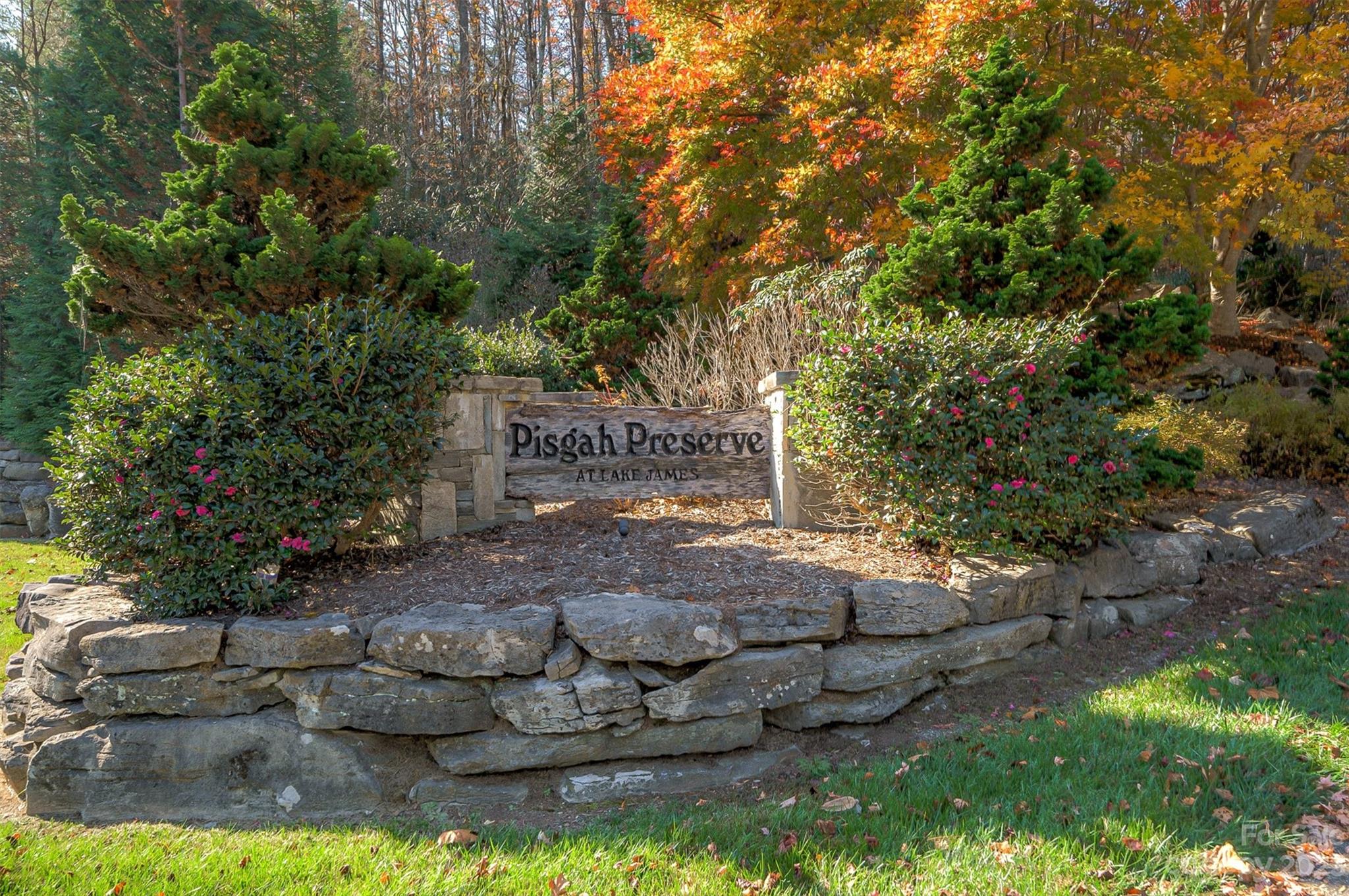 Pisgah Preserve - Land