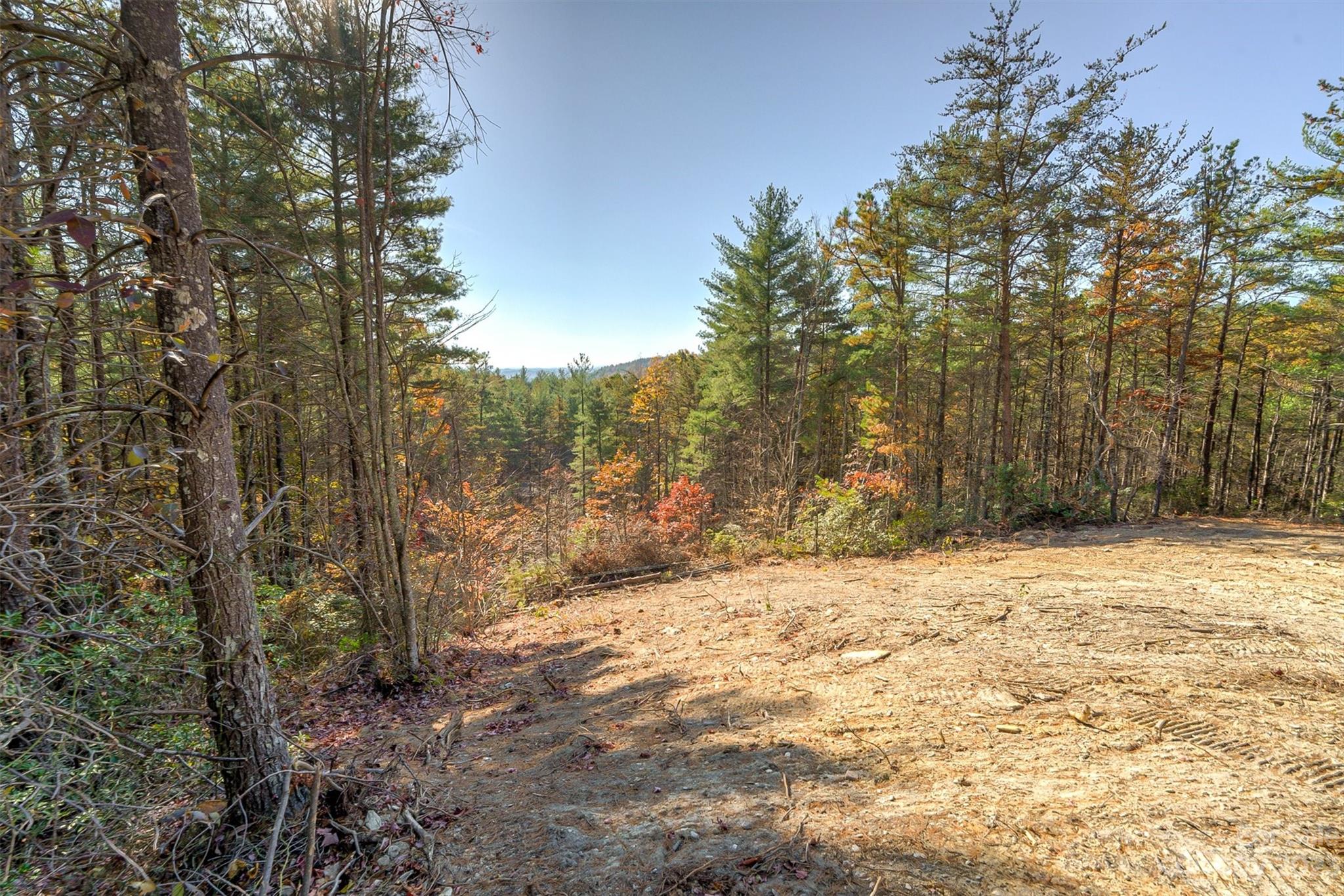 Pisgah Preserve - Land