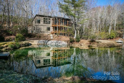 3243 Connestee Trail Brevard NC 28712