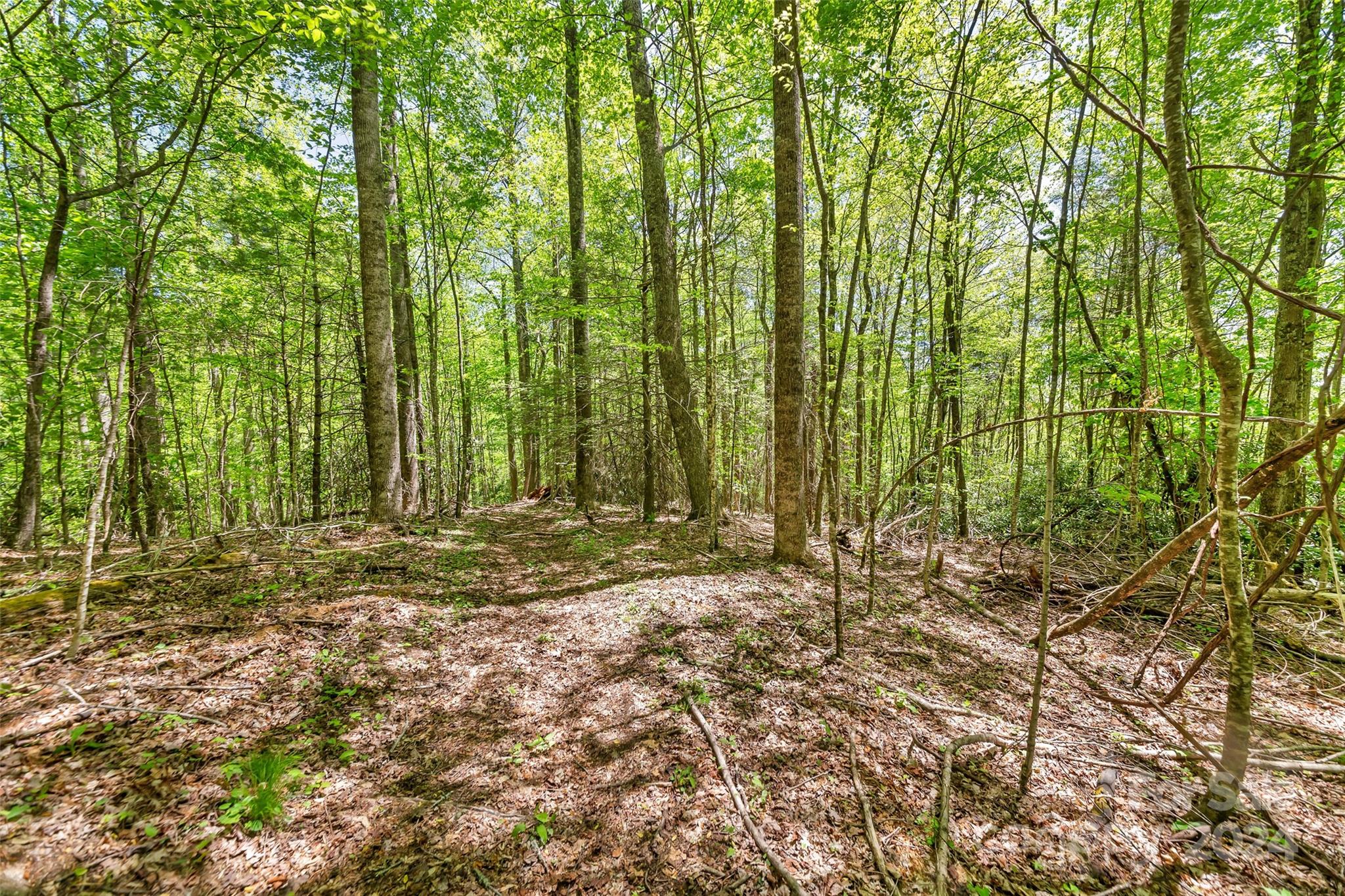 9999 Gouges Creek Road