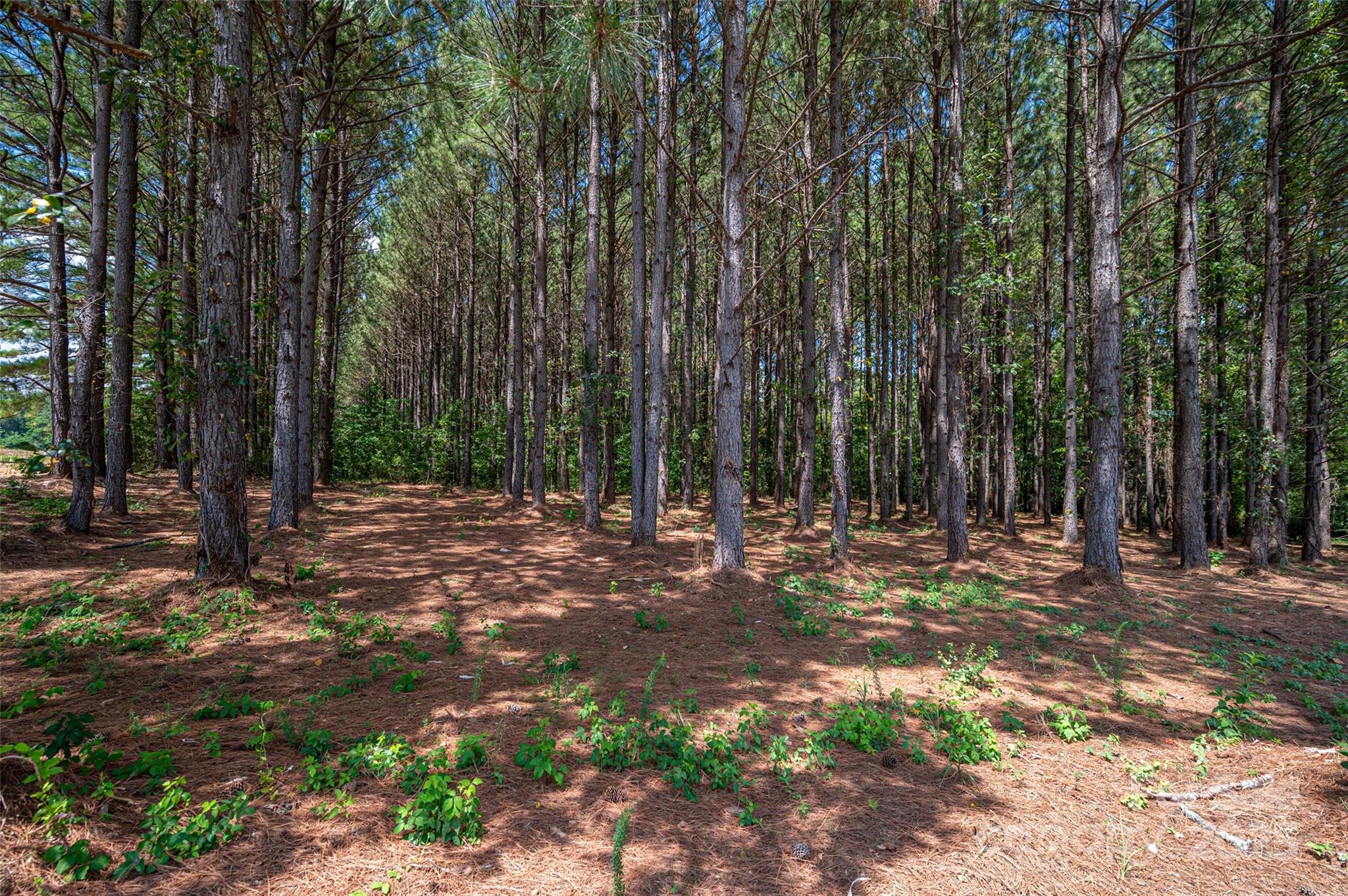 00 Hill Gates Trail 32