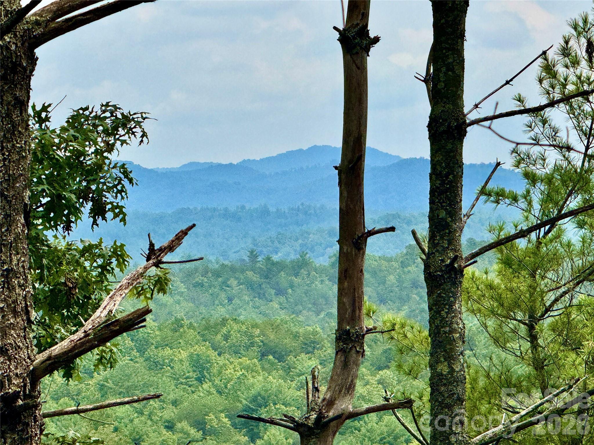 1.46 acres, Lot 48 Tomahawk Ridge Drive Lot 48