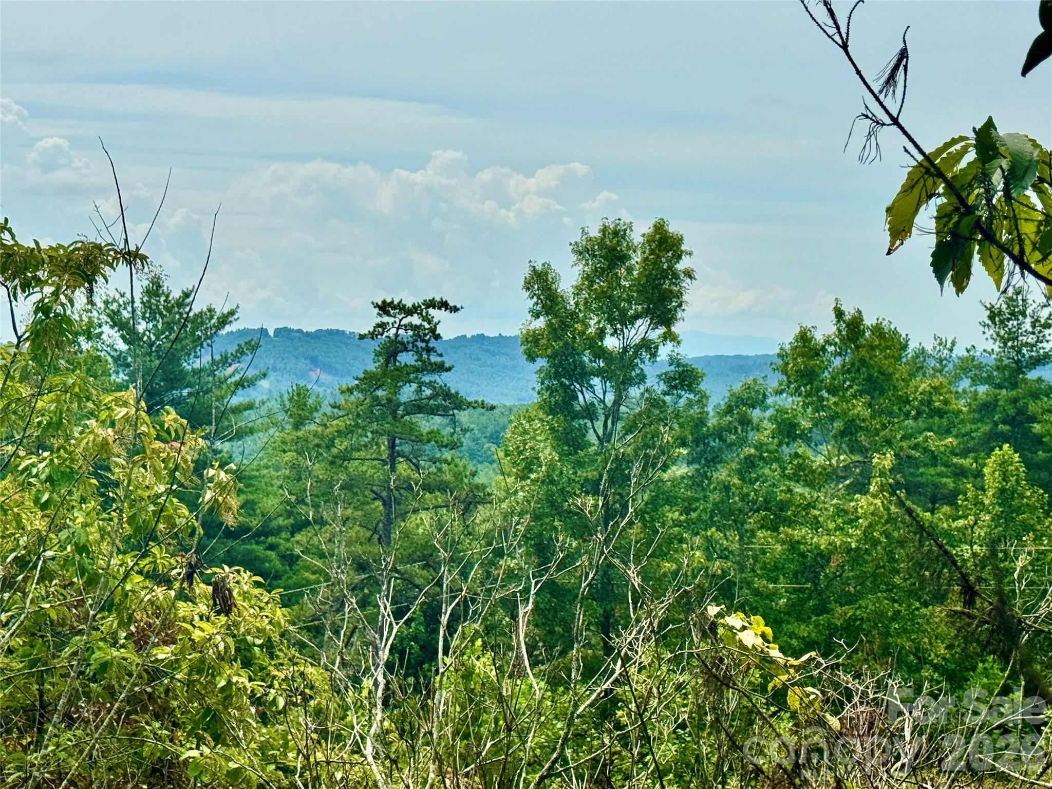 1.46 acres, Lot 48 Tomahawk Ridge Drive Lot 48