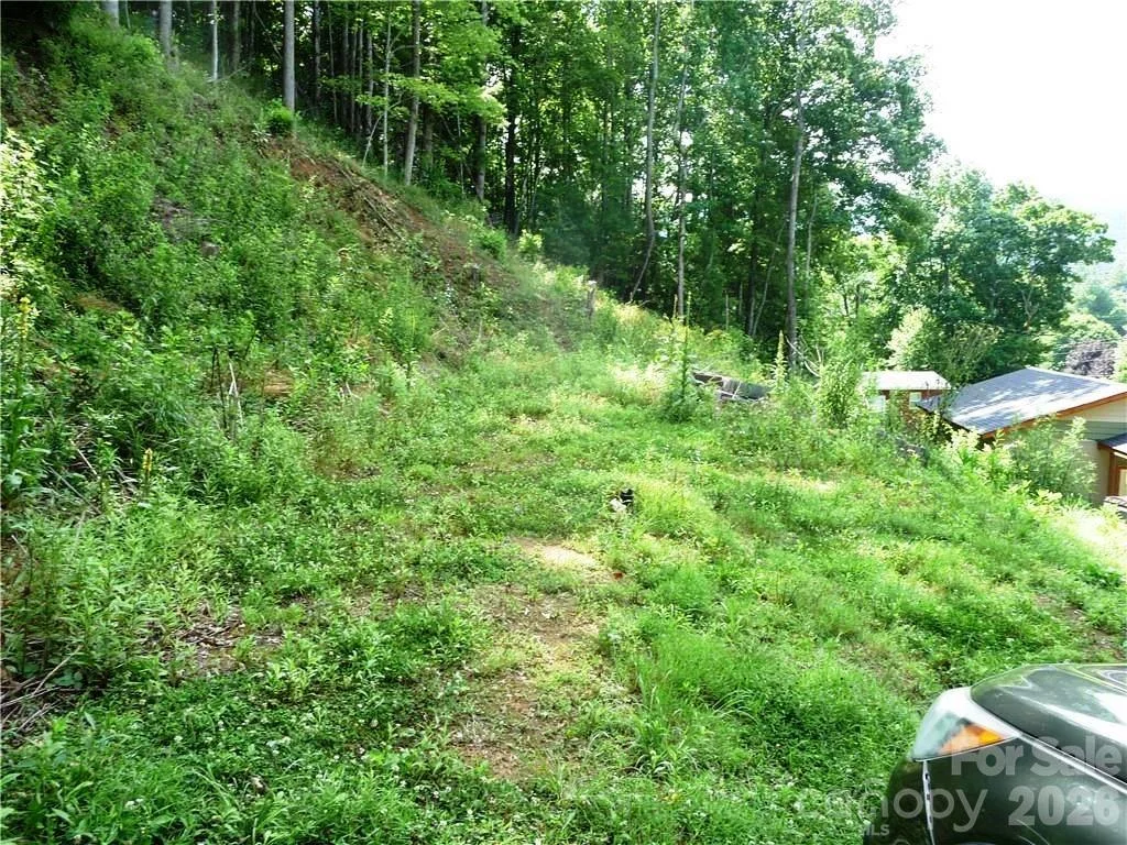 870 Bairds Creek Road, Vilas, NC, 28692