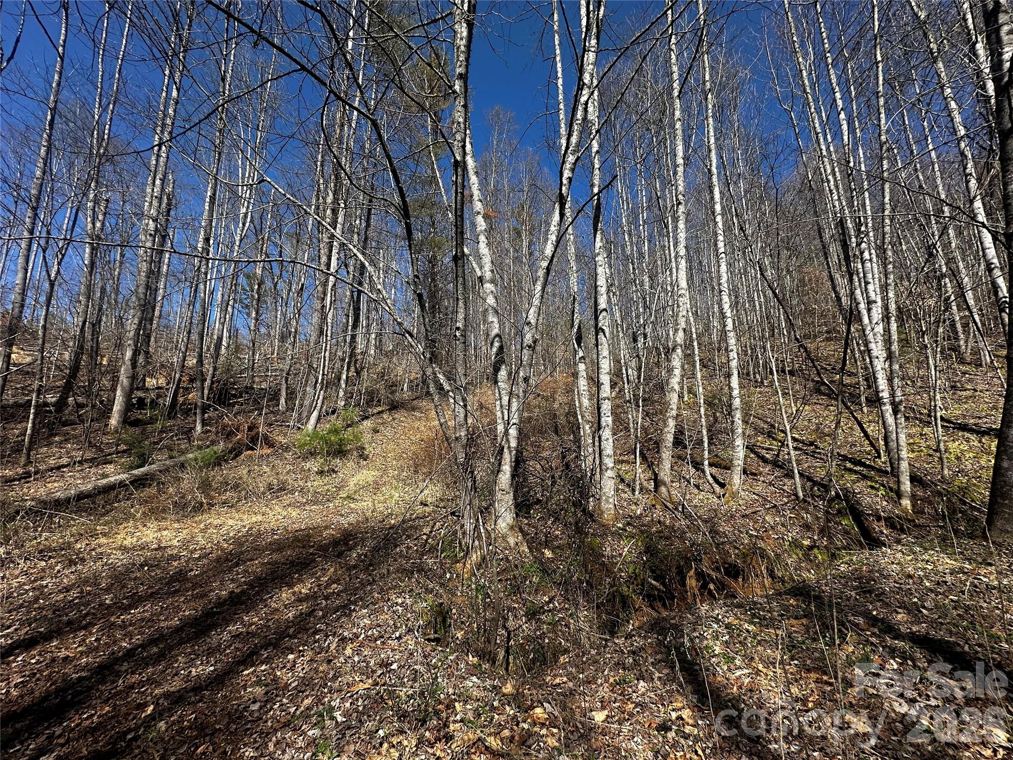 Ashland Mountain - Land