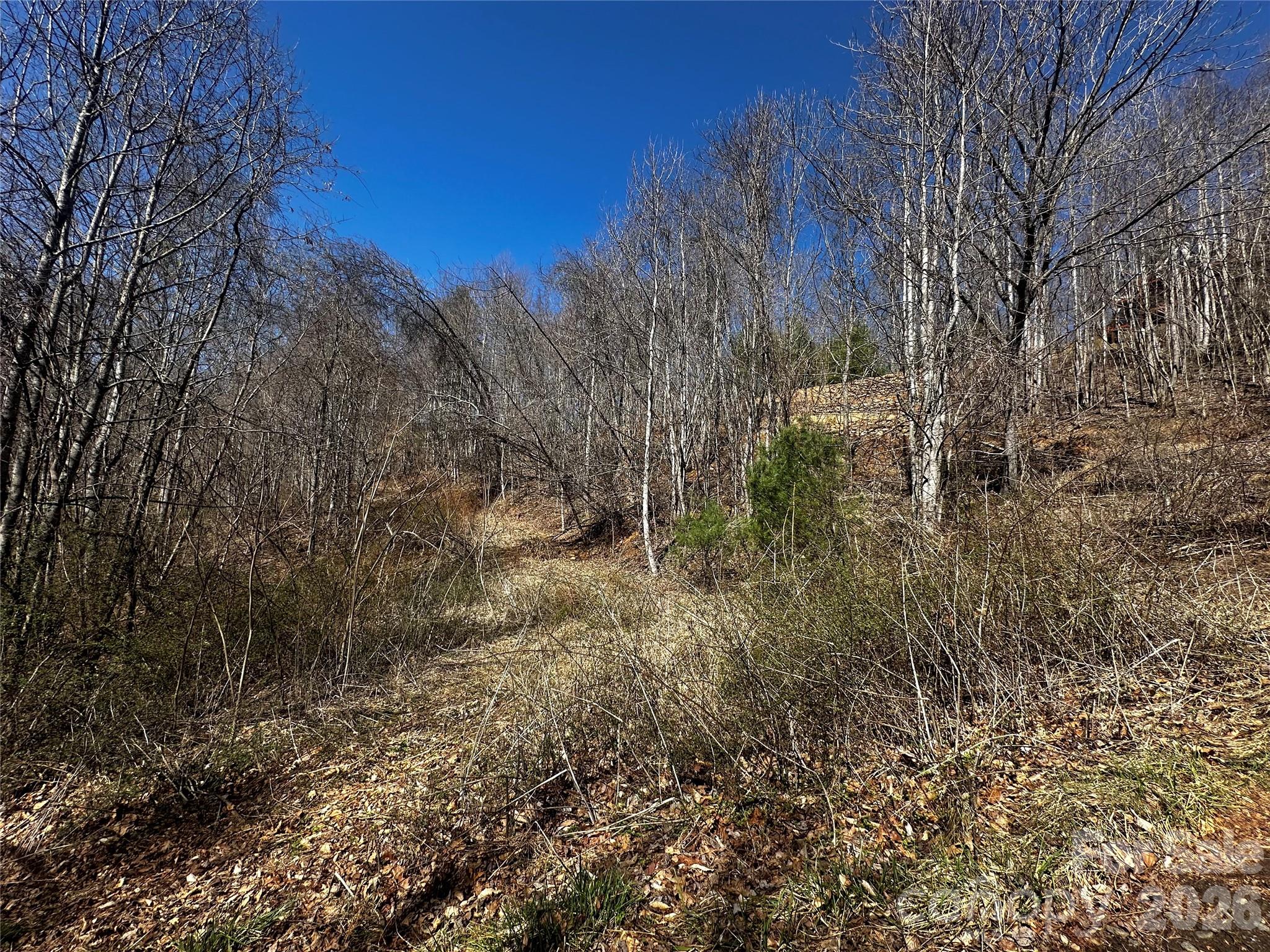 Ashland Mountain - Land