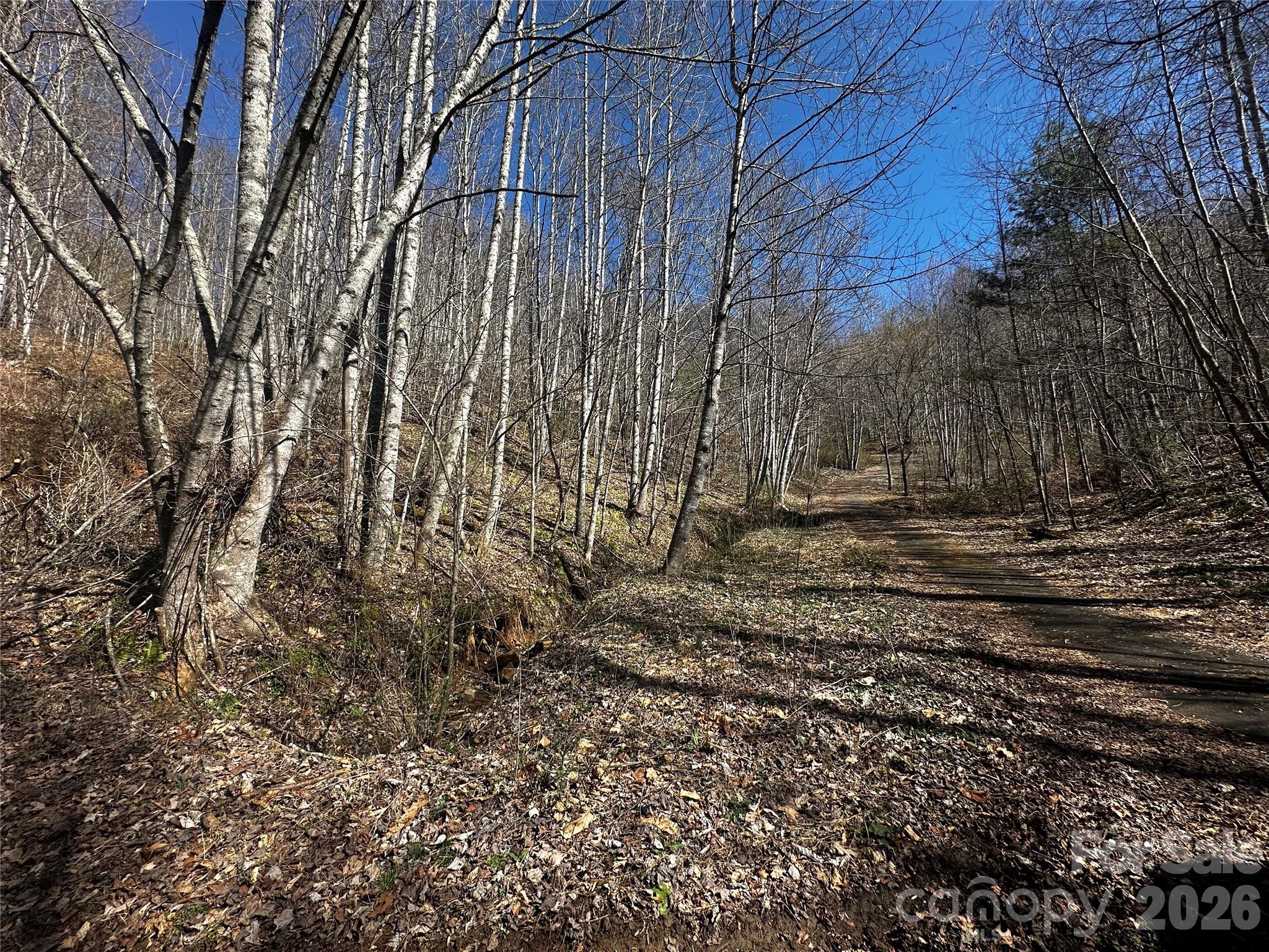 Ashland Mountain - Land