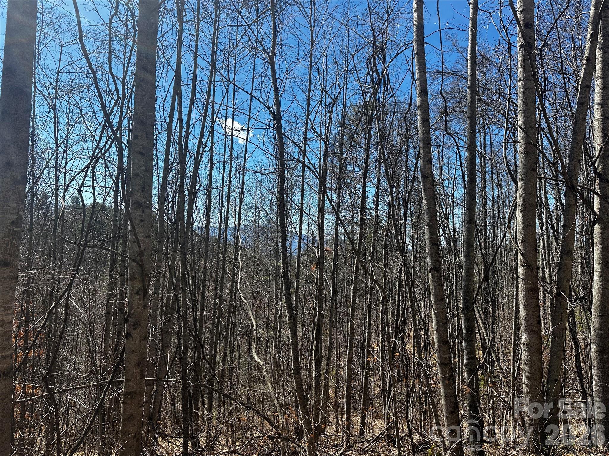 Ashland Mountain - Land