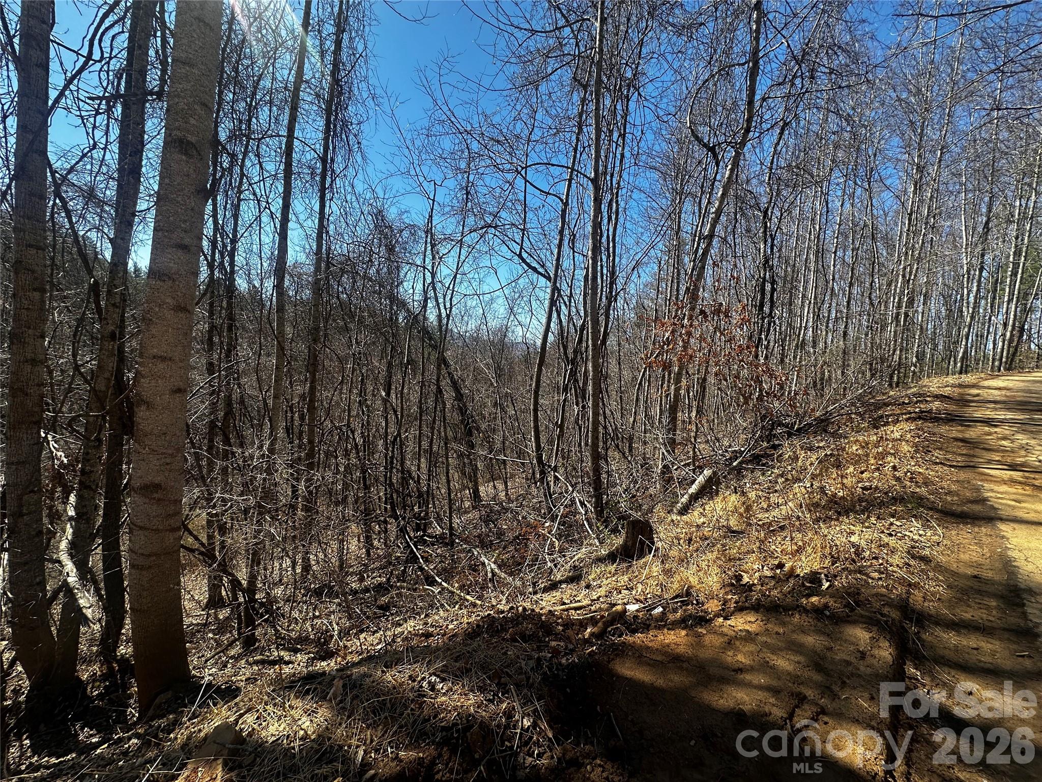 Ashland Mountain - Land