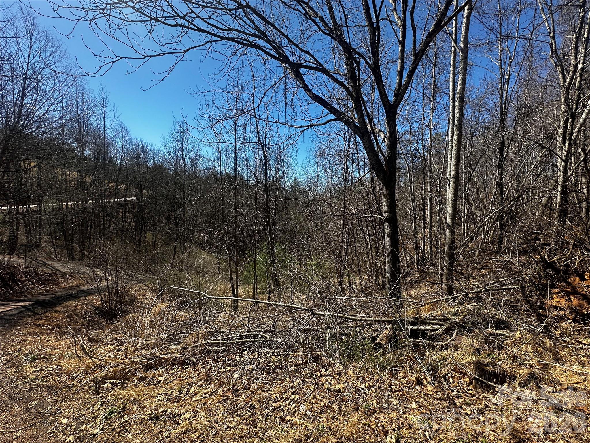 Ashland Mountain - Land