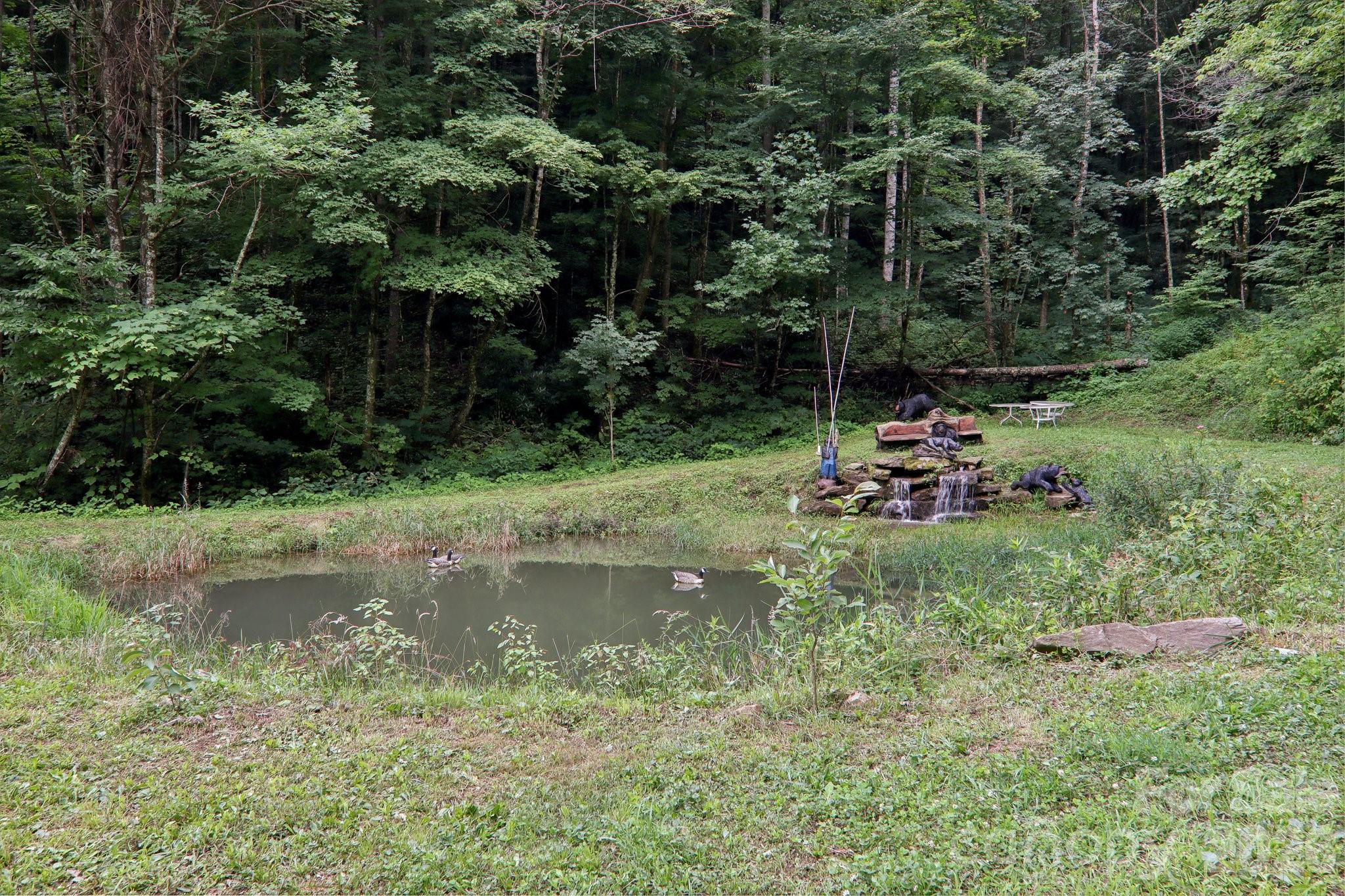 4501 Cove Creek Road