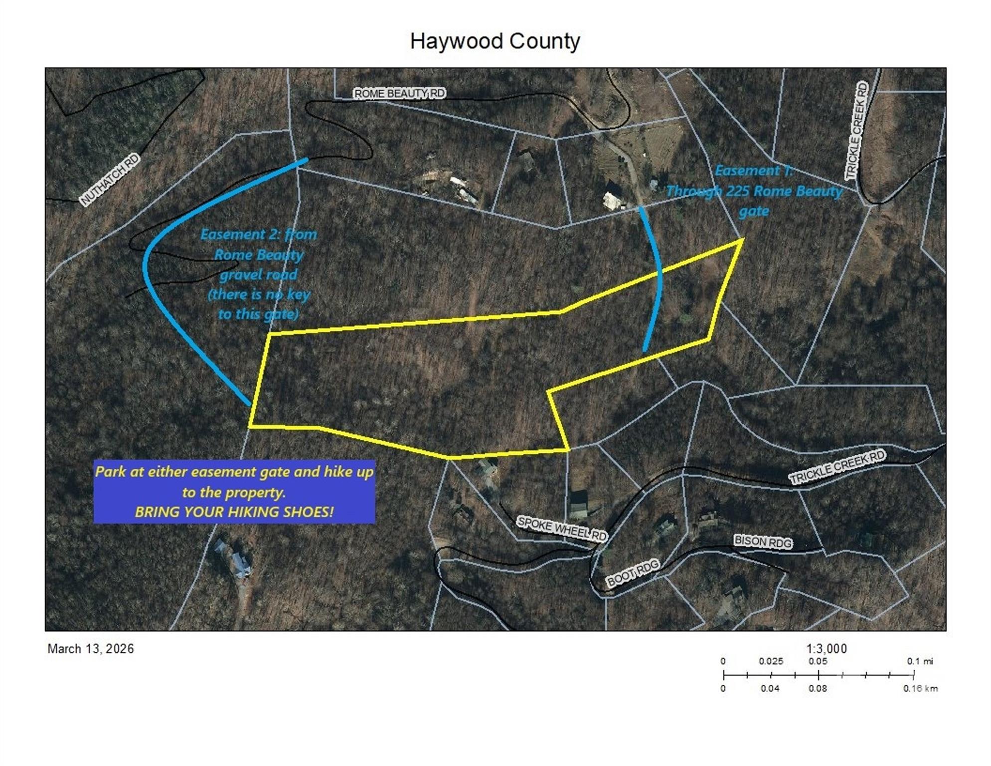 250 Rome Beauty Road TR5