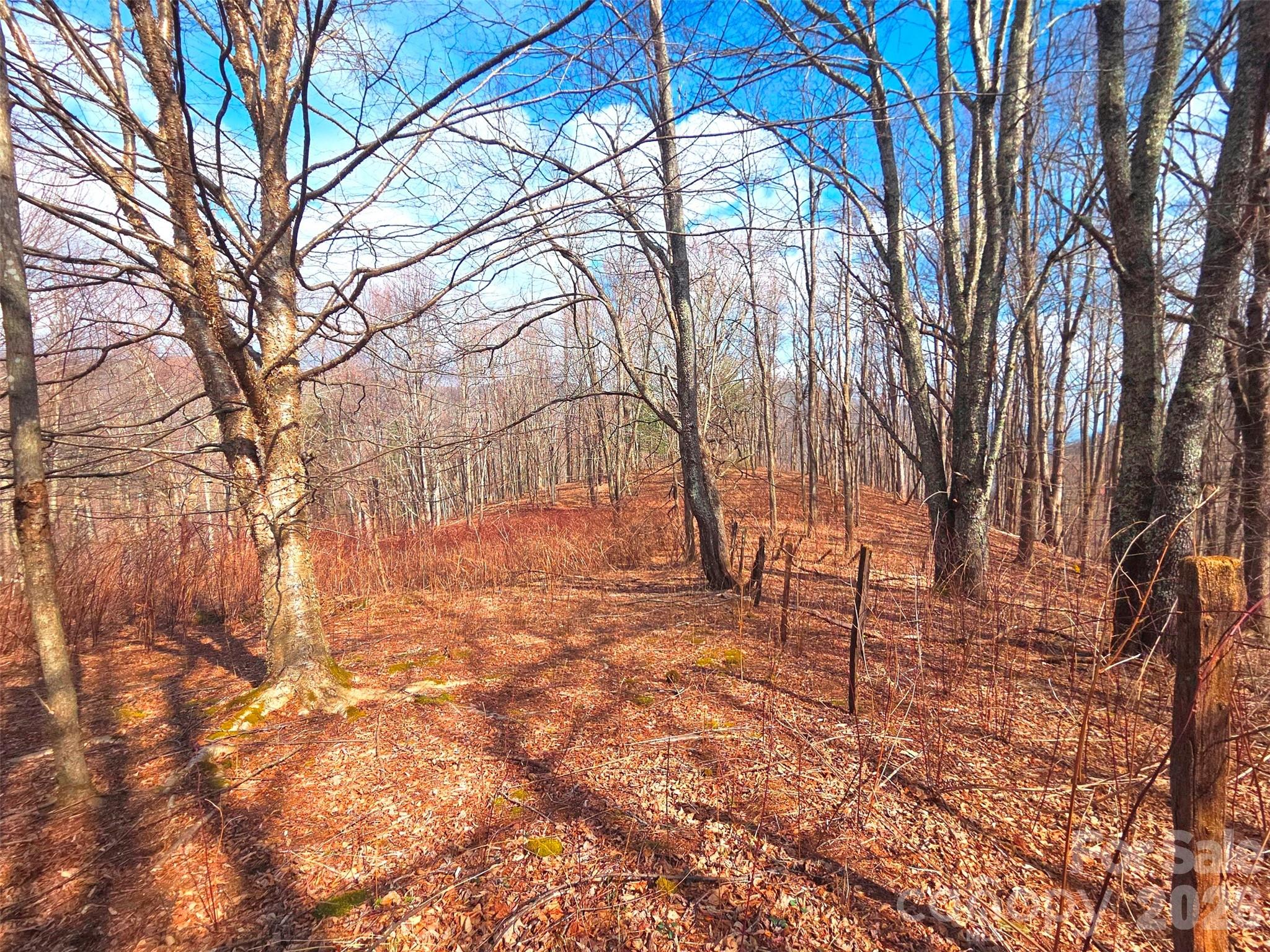 250 Rome Beauty Road TR5