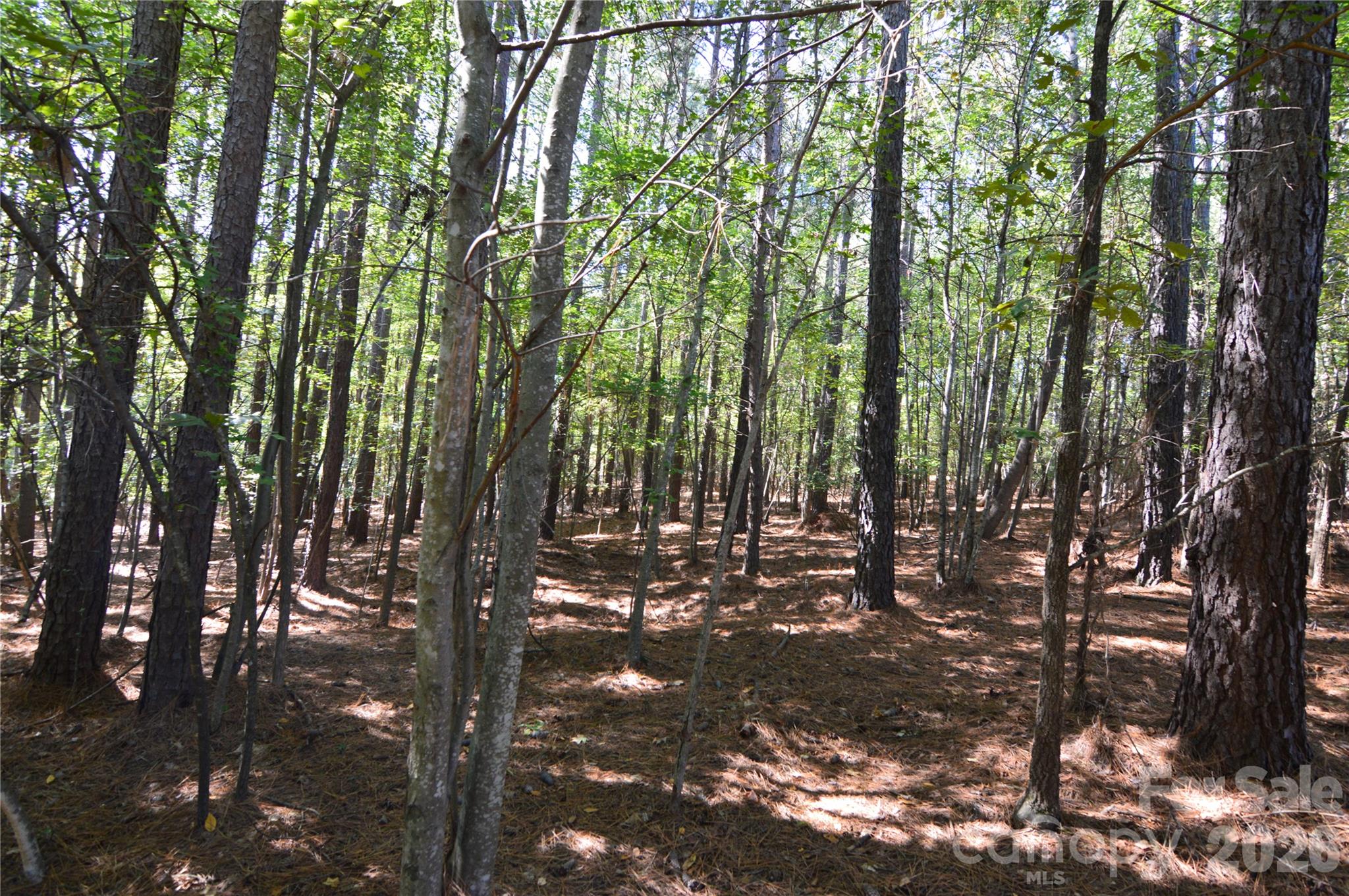4001 Deer Park Lane 271-A