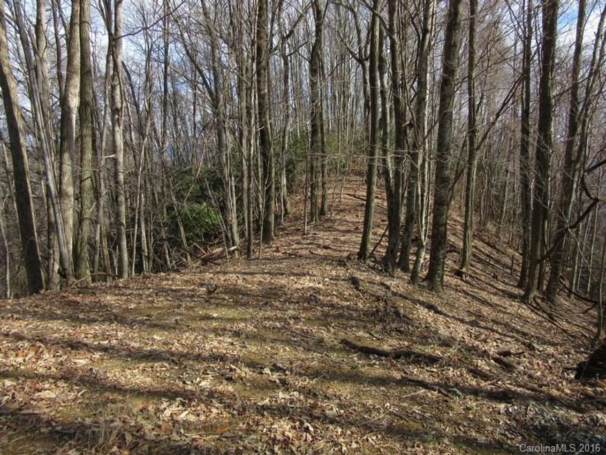 LOT ON THE TOP ROAD OF SHOOT OUT MTN. WITH THE CUTING OF SOME TREES THE VIEW WOULD BE AWESOME! Most of the lot is steep down from the road, but there is a gentle peninsular going out from the road that would be a great place for a small cabin. Perfect getaway for weekends and vacations! No restrictions and high elevation. There is not a POA, but a Road Maintenance Committee takes care of the roads. $200 a year for vacant land. $300 with a cabin or home.