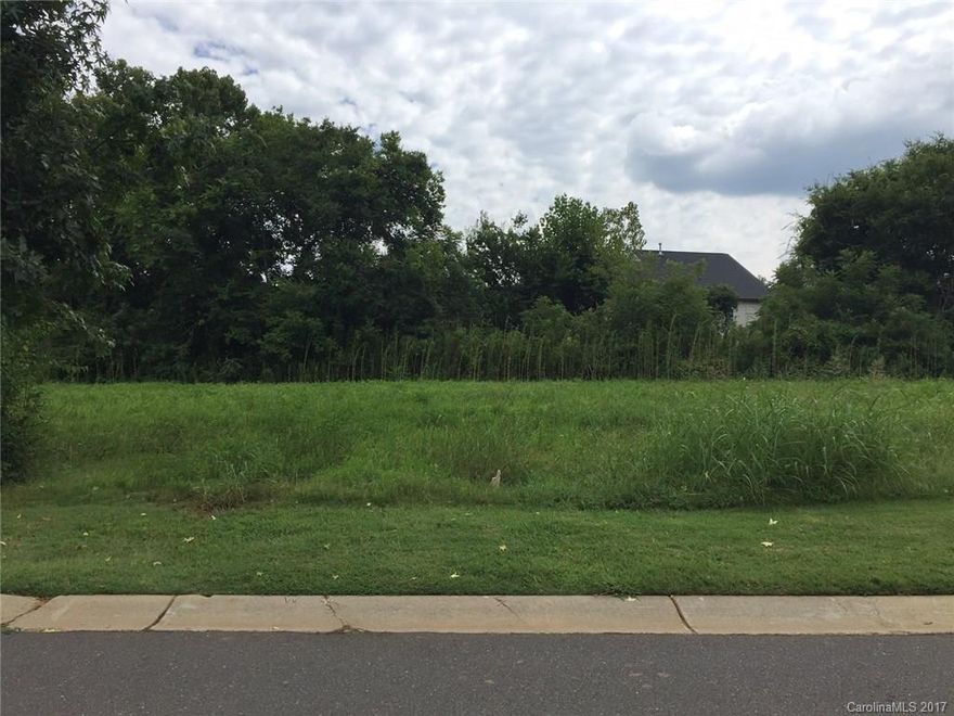 Flat, residential lot located in desirable Fort Mill school district. Located within Regent Park, this allows easy access to shops, I-77, Carowinds, Anne Springs Greenway and NC. Bring a builder or let me assist with one.