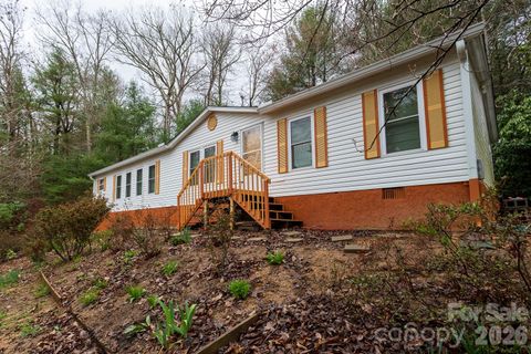 10 Savannah Circle Leicester NC 28748