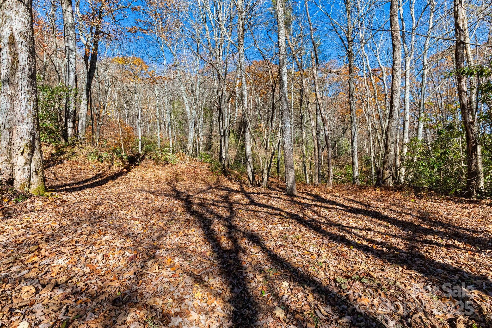 Valley View Estates - Land