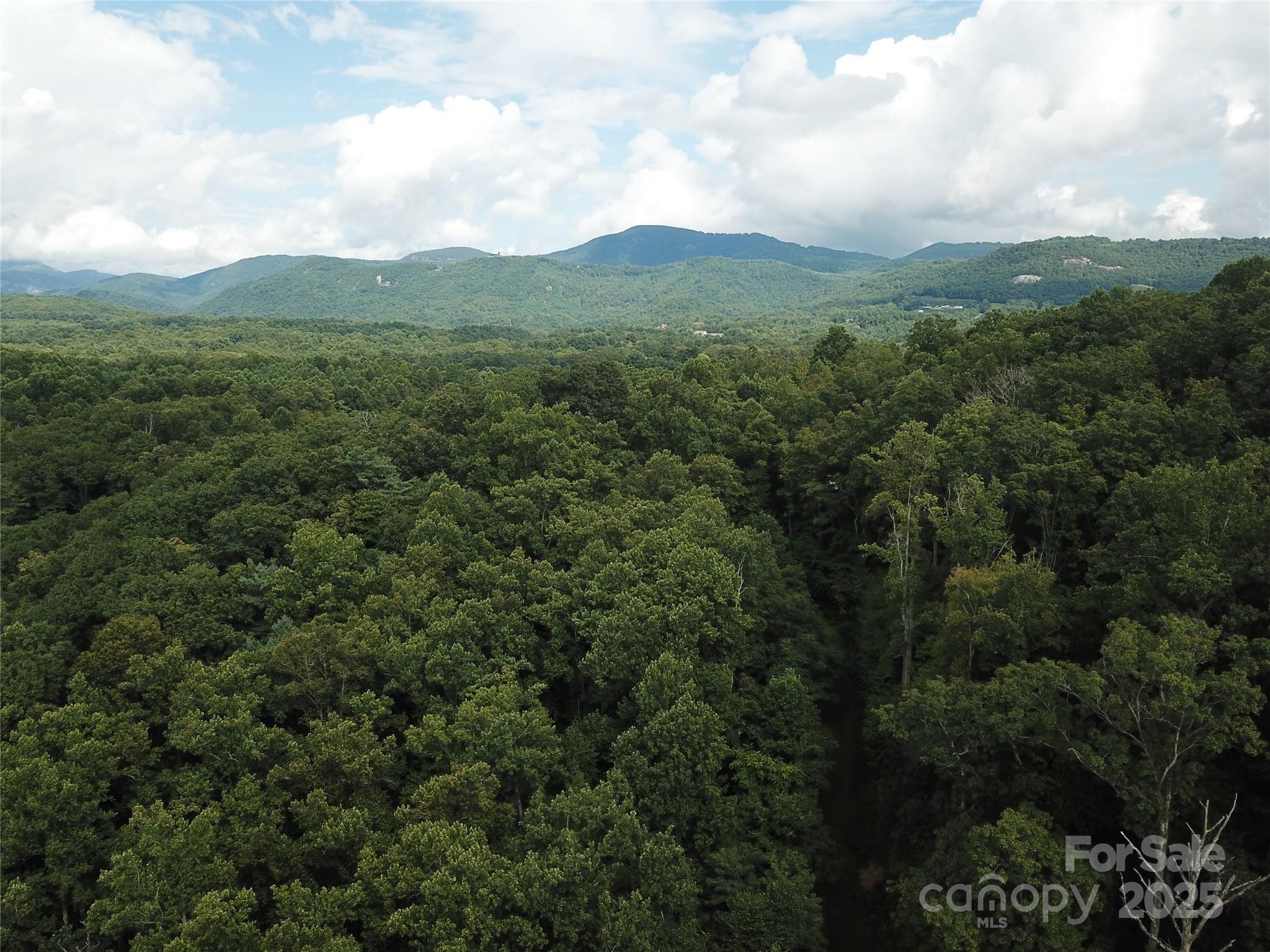 Bearwallow Glen - Land