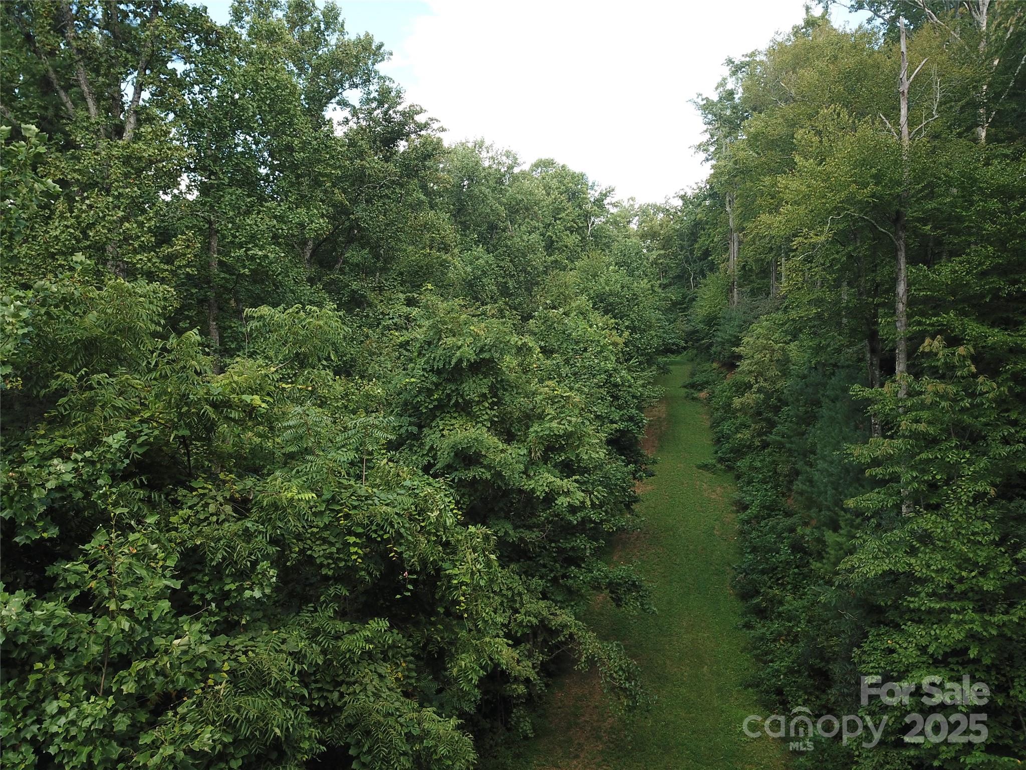 Bearwallow Glen - Land