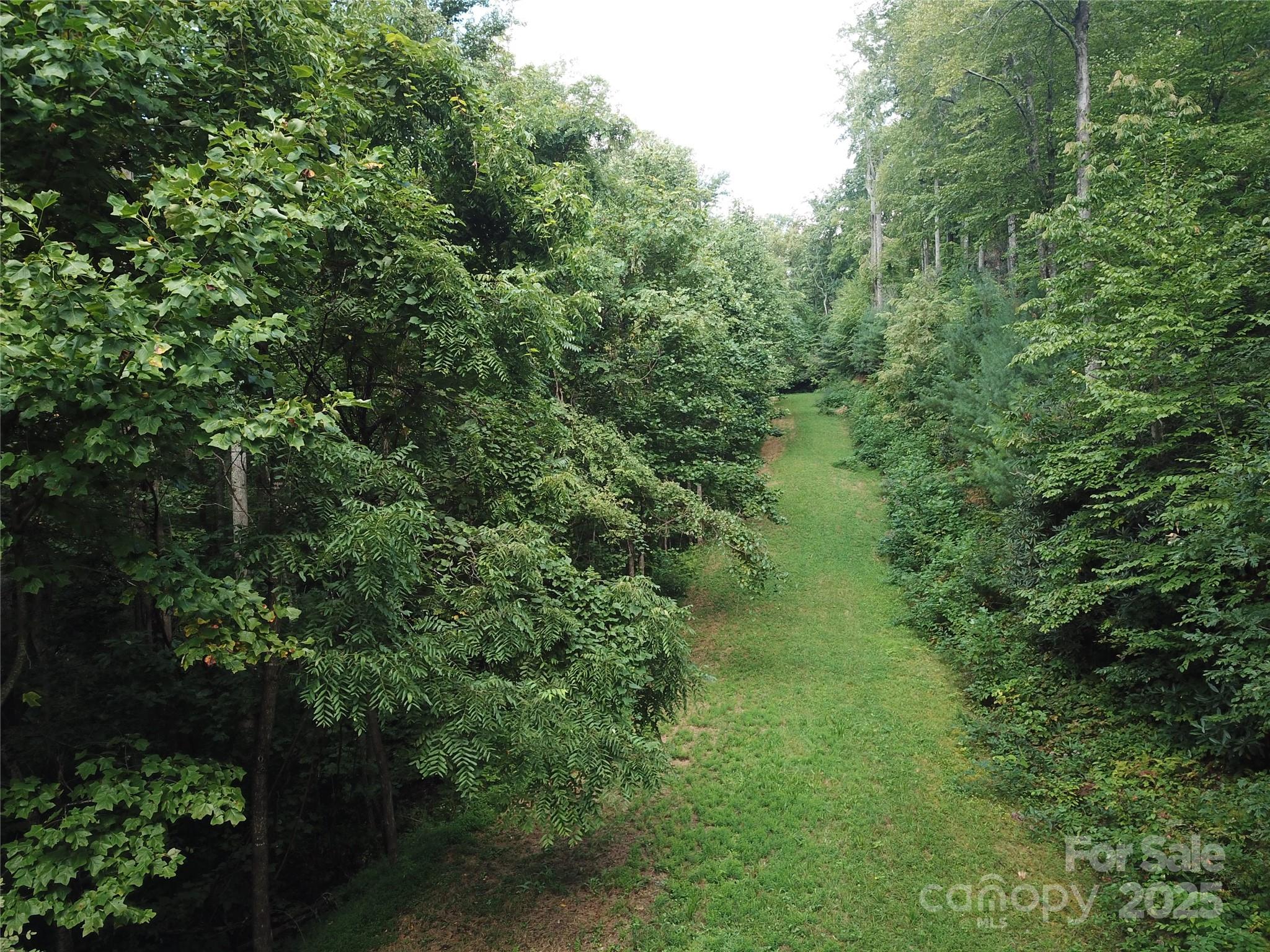 Bearwallow Glen - Land