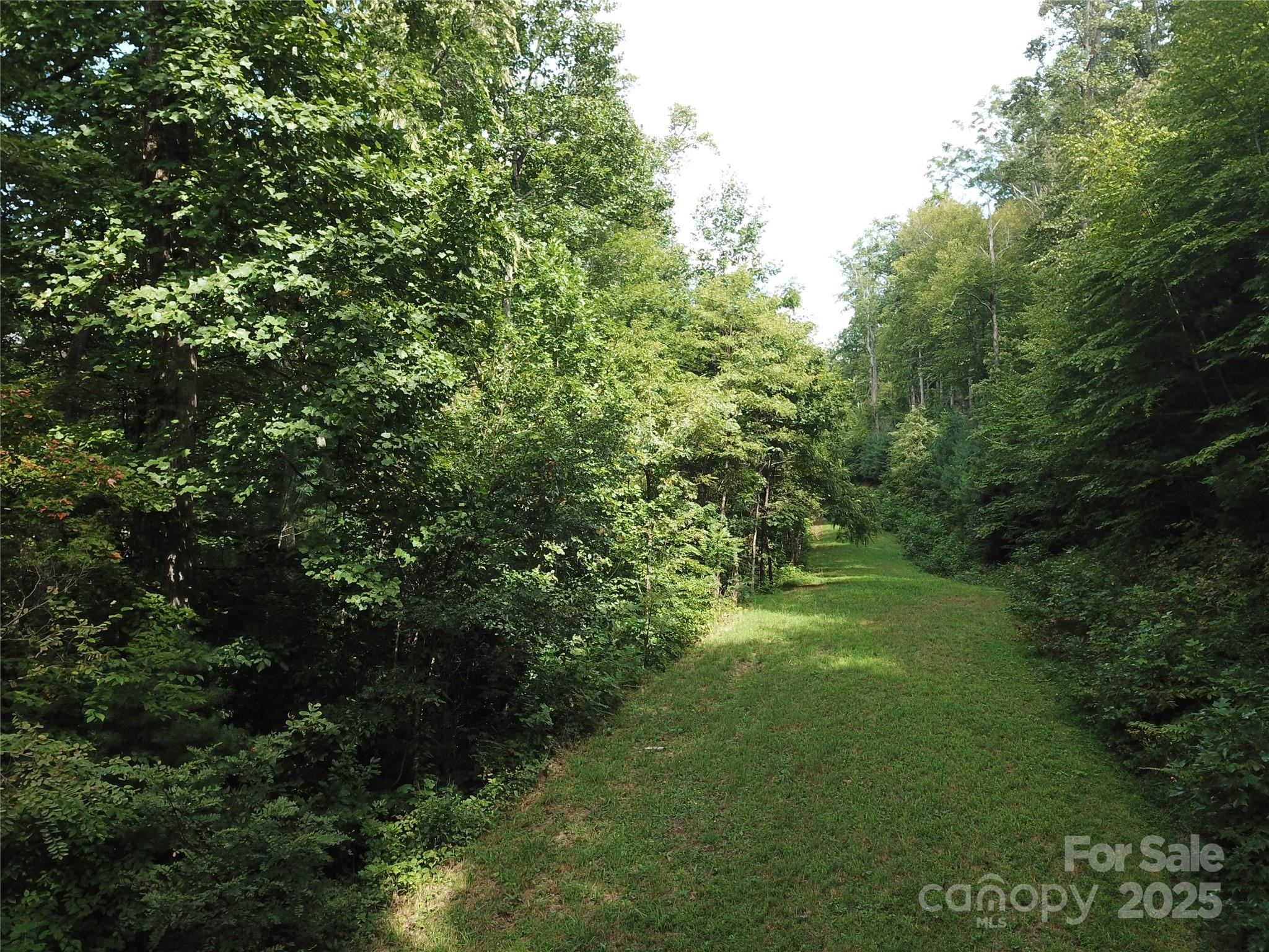 Bearwallow Glen - Land