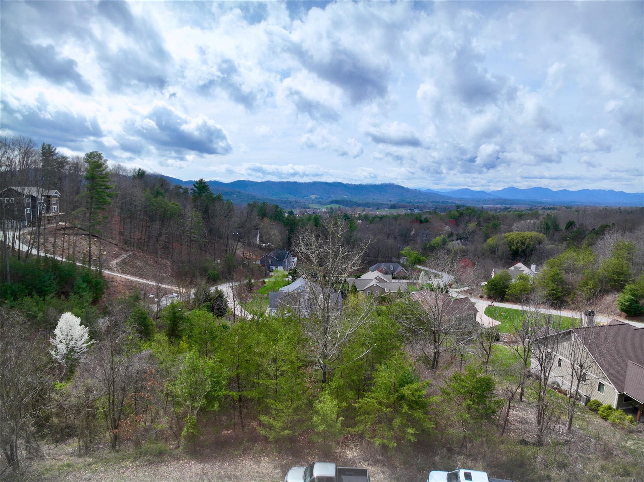 Reems Creek Golf Community - Land