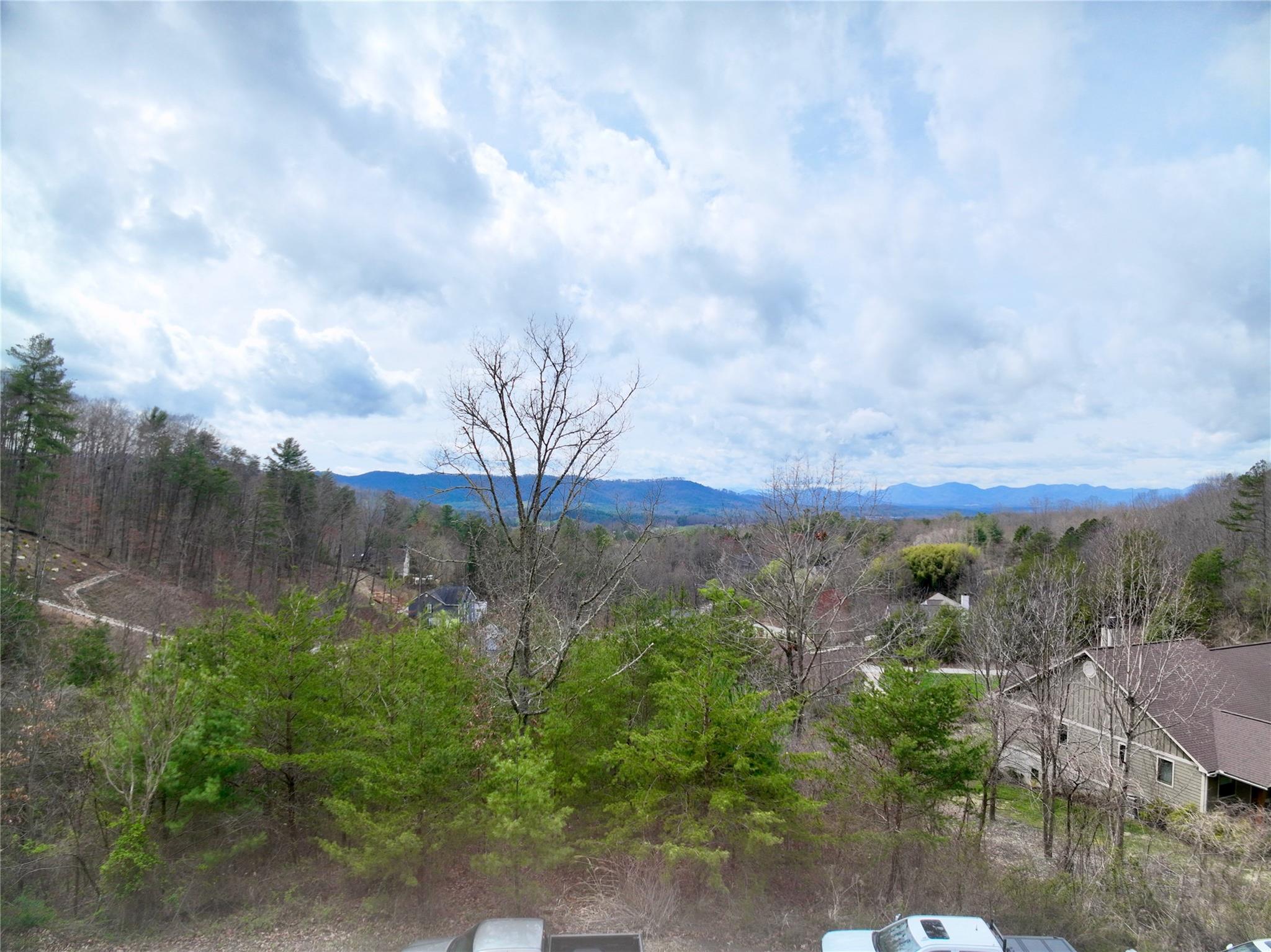 Reems Creek Golf Community - Land