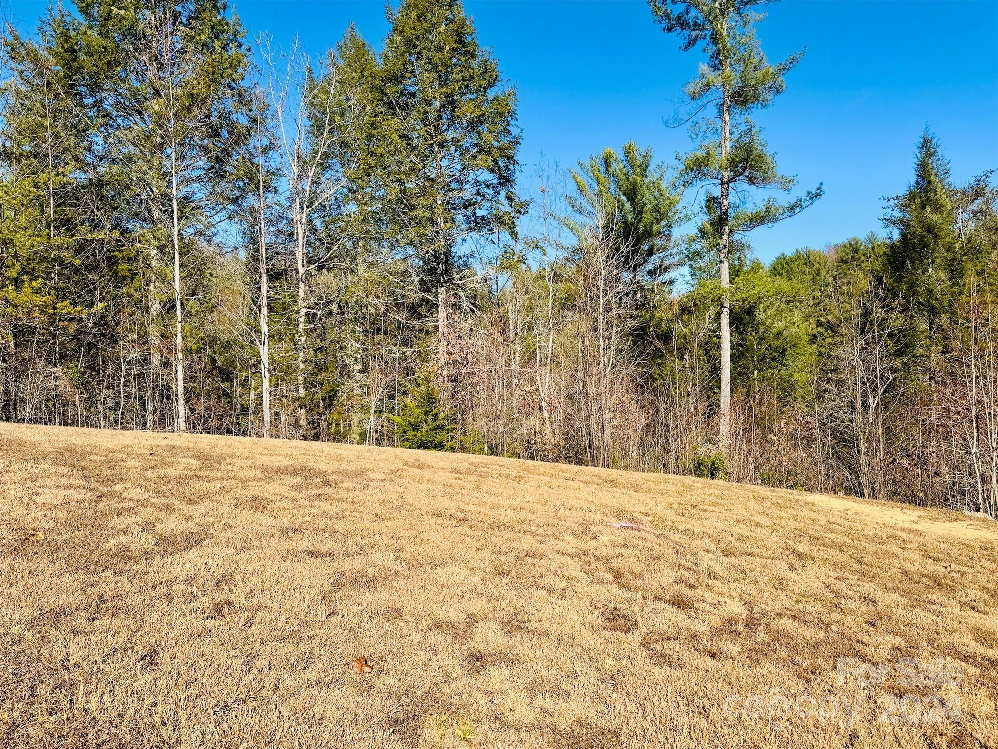 The Coves Mountain River Club - Land