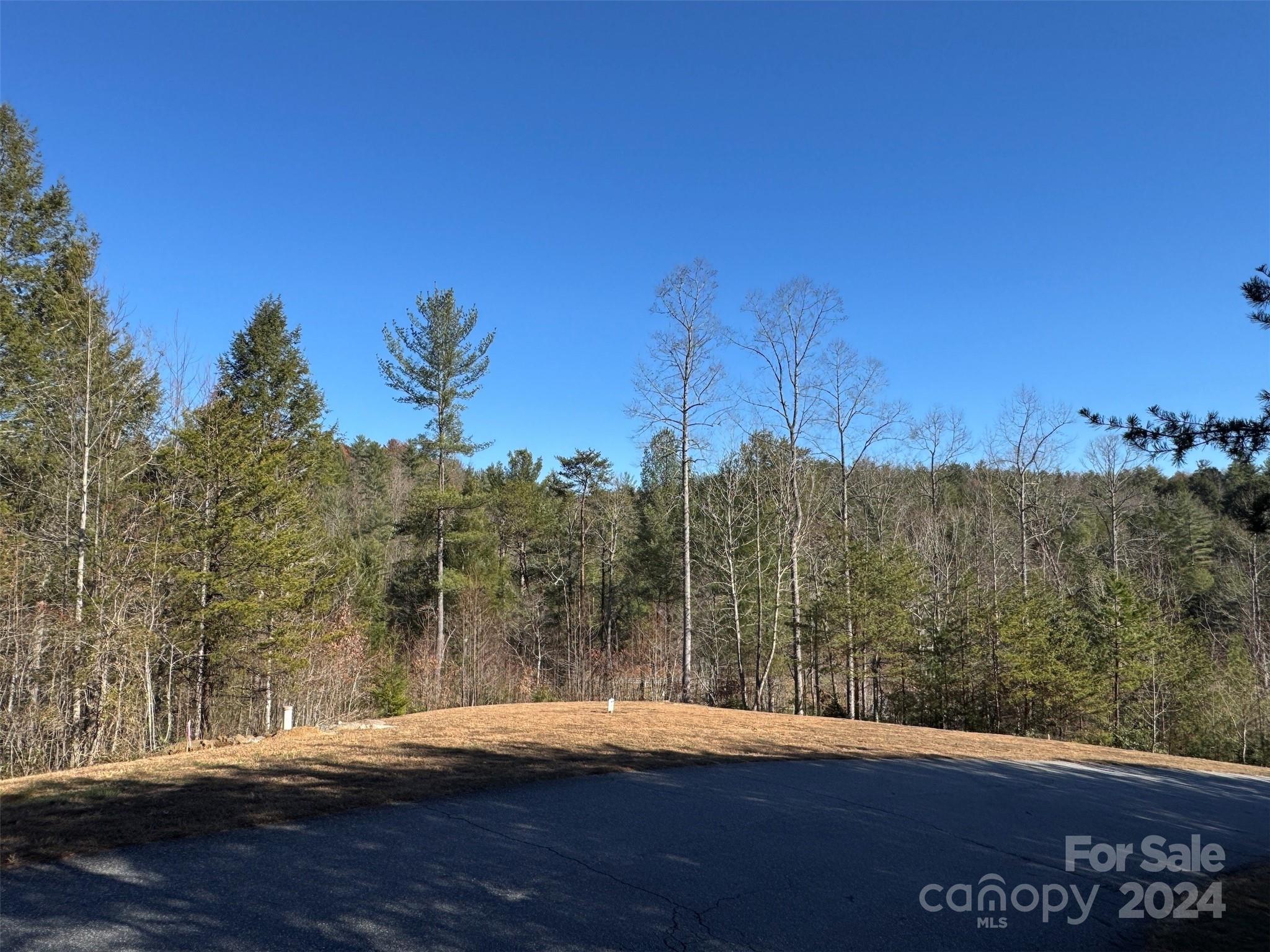 The Coves Mountain River Club - Land