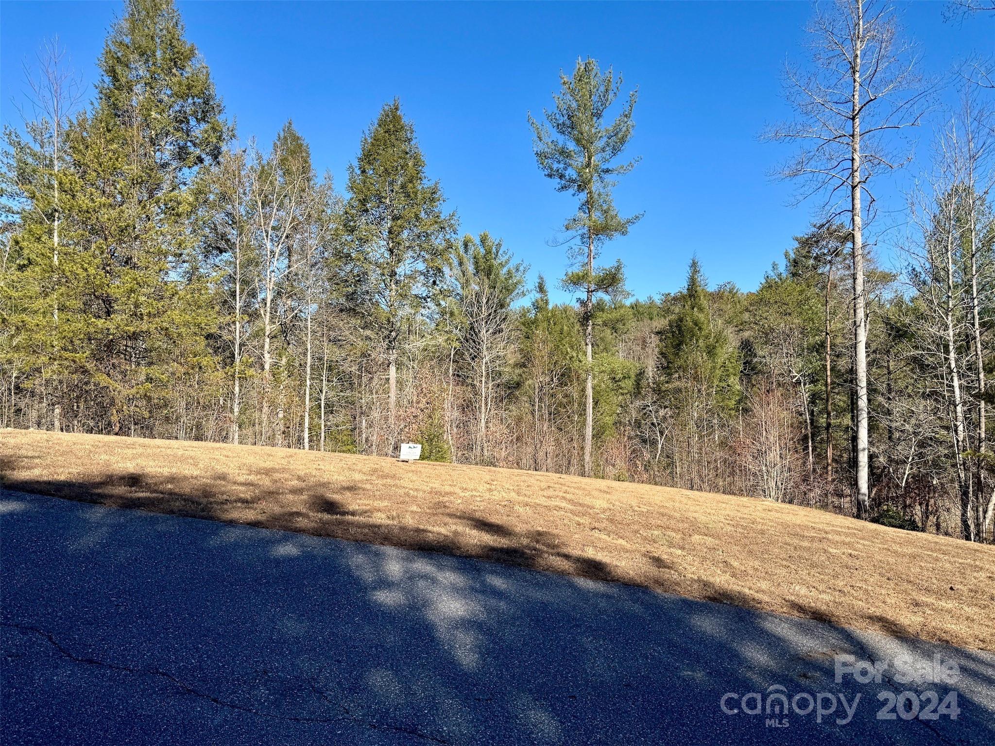 The Coves Mountain River Club - Land