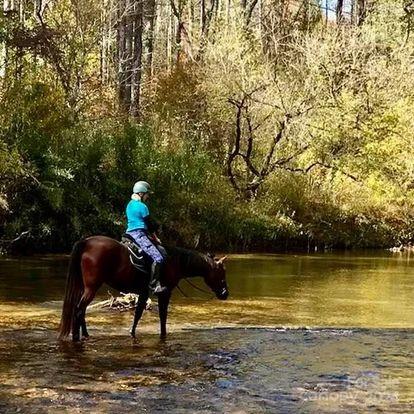 The Coves Mountain River Club - Land