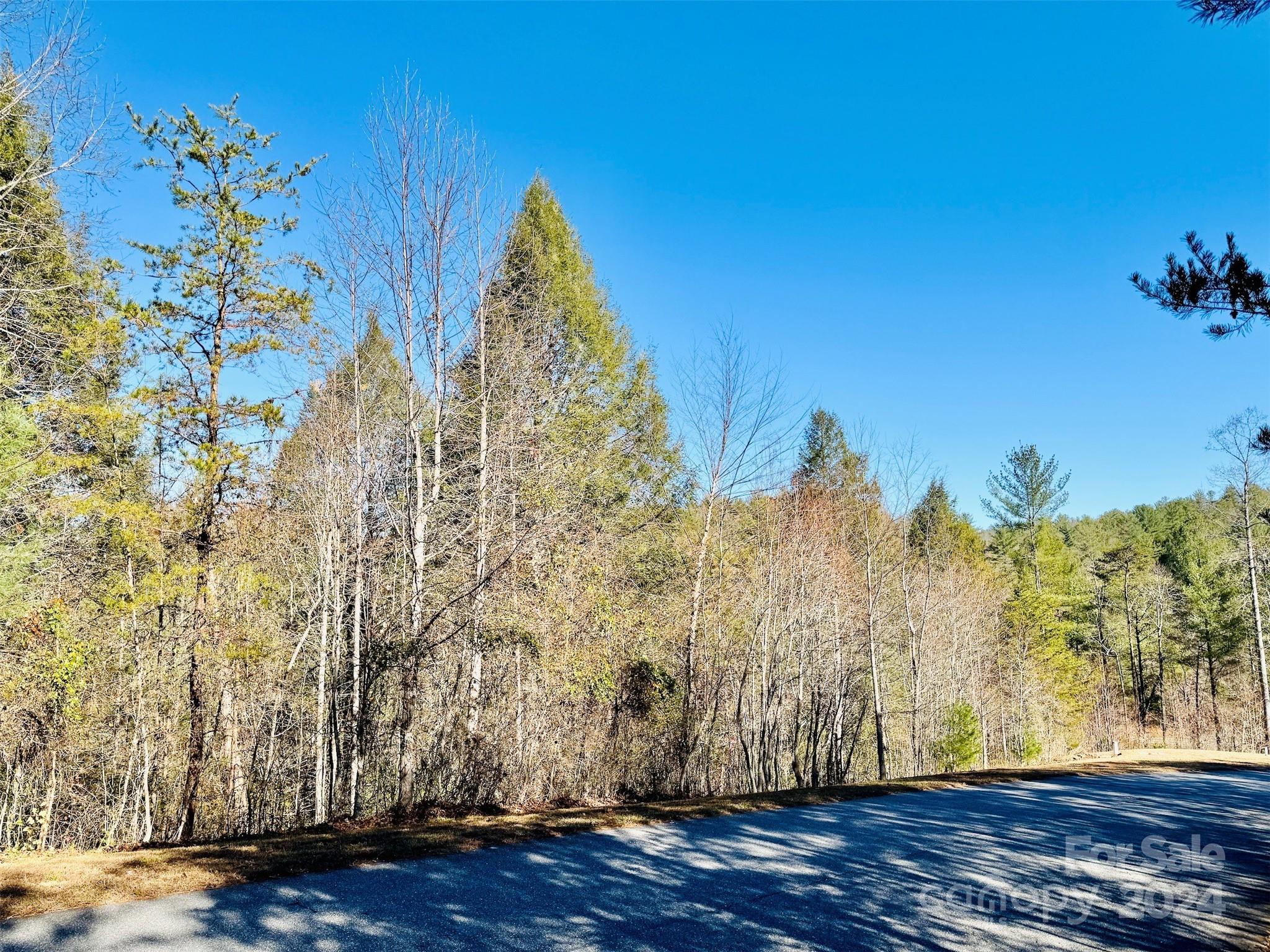 The Coves Mountain River Club - Land