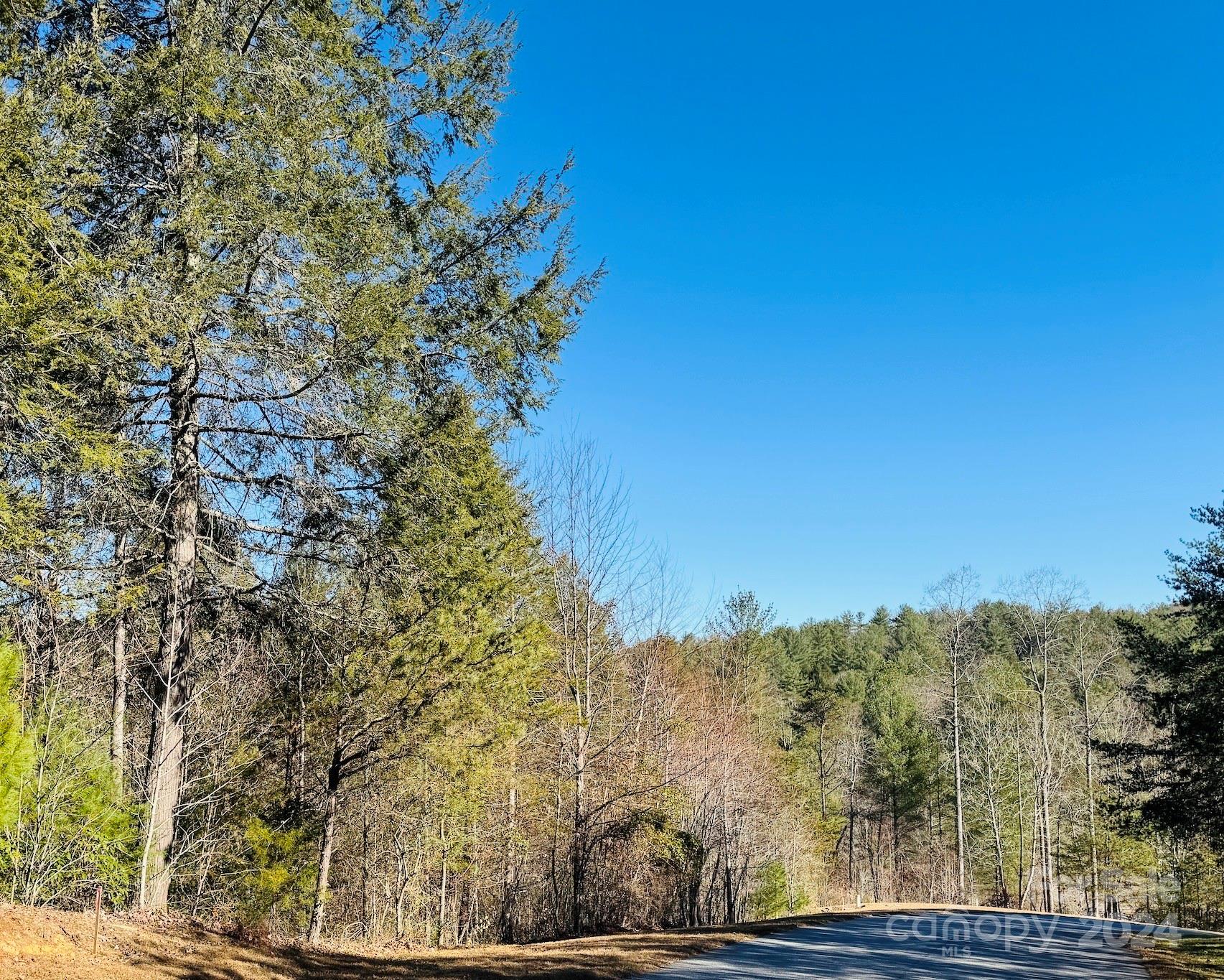 The Coves Mountain River Club - Land