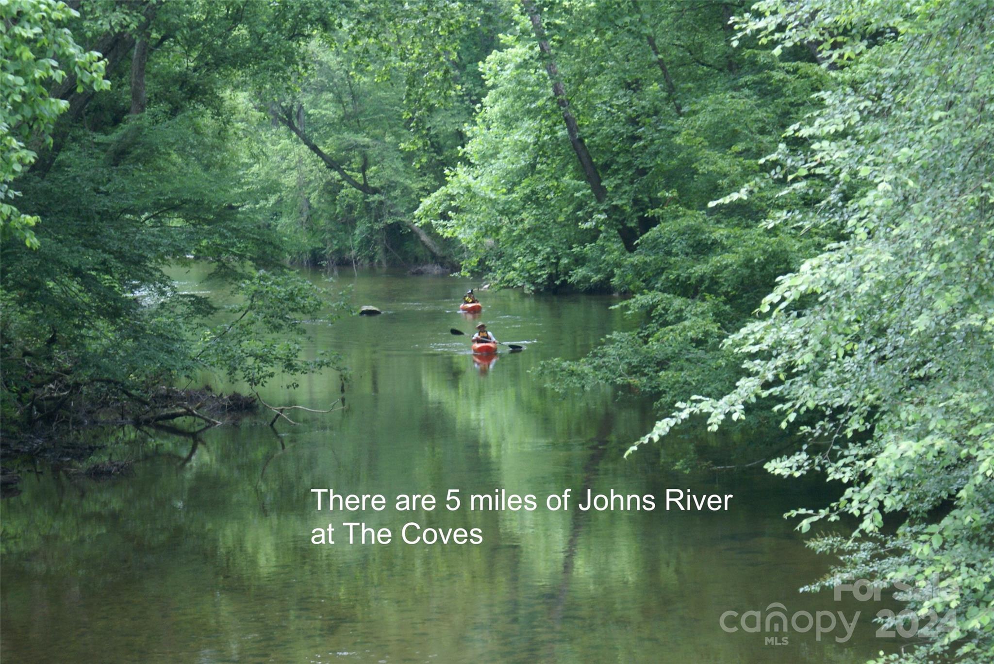 The Coves Mountain River Club - Land