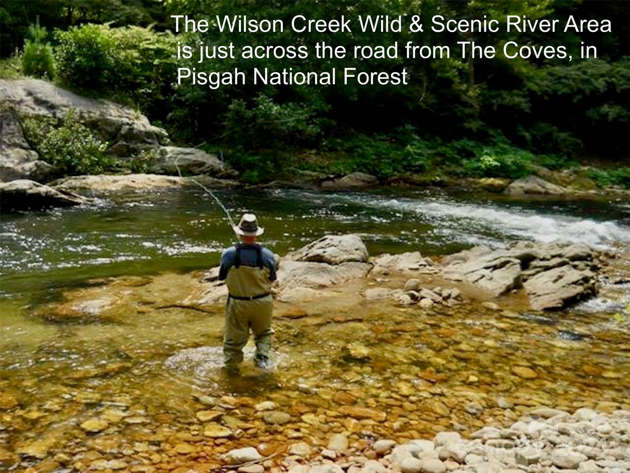 The Coves Mountain River Club - Land