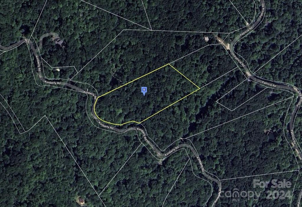 91 Kimberly Road, Black Mountain, NC 28711, MLS 4180348 Allen Tate