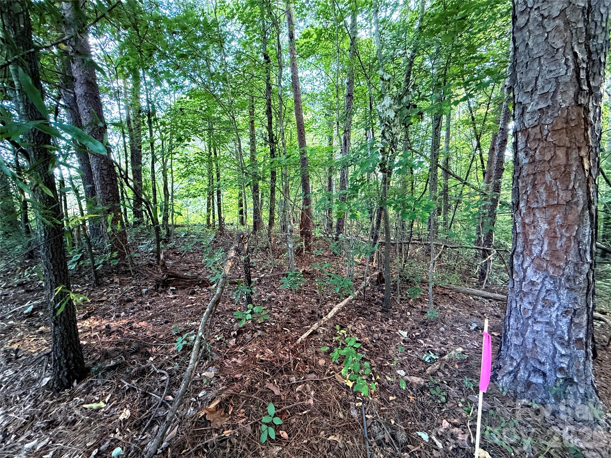 Lot 102 Carlie Street