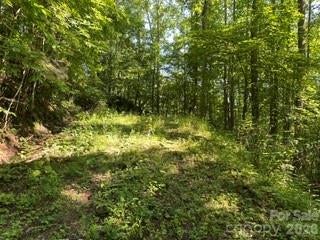 13 Galega Trail