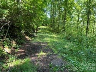13 Galega Trail