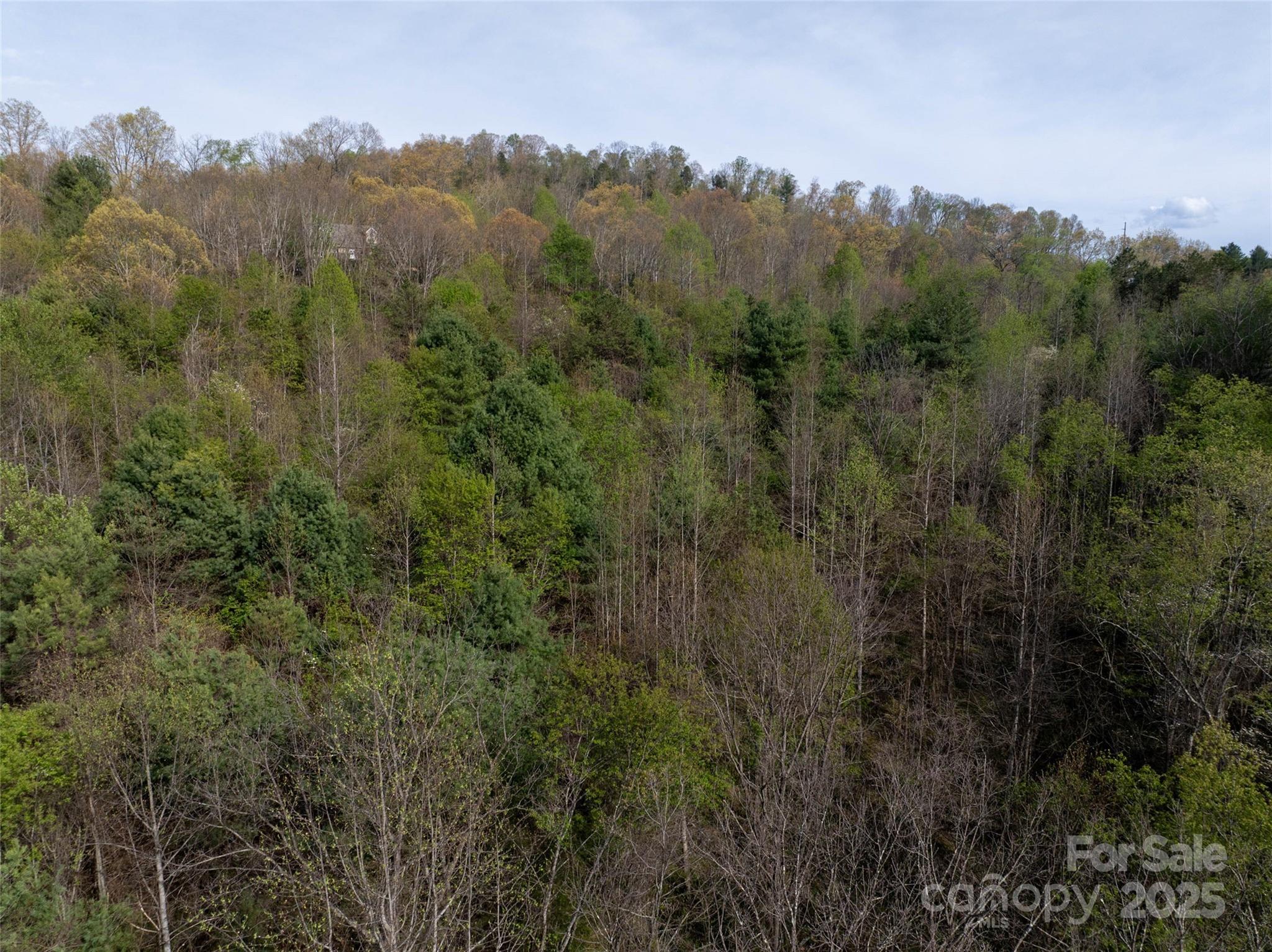 Hyder Mountain Acres - Land