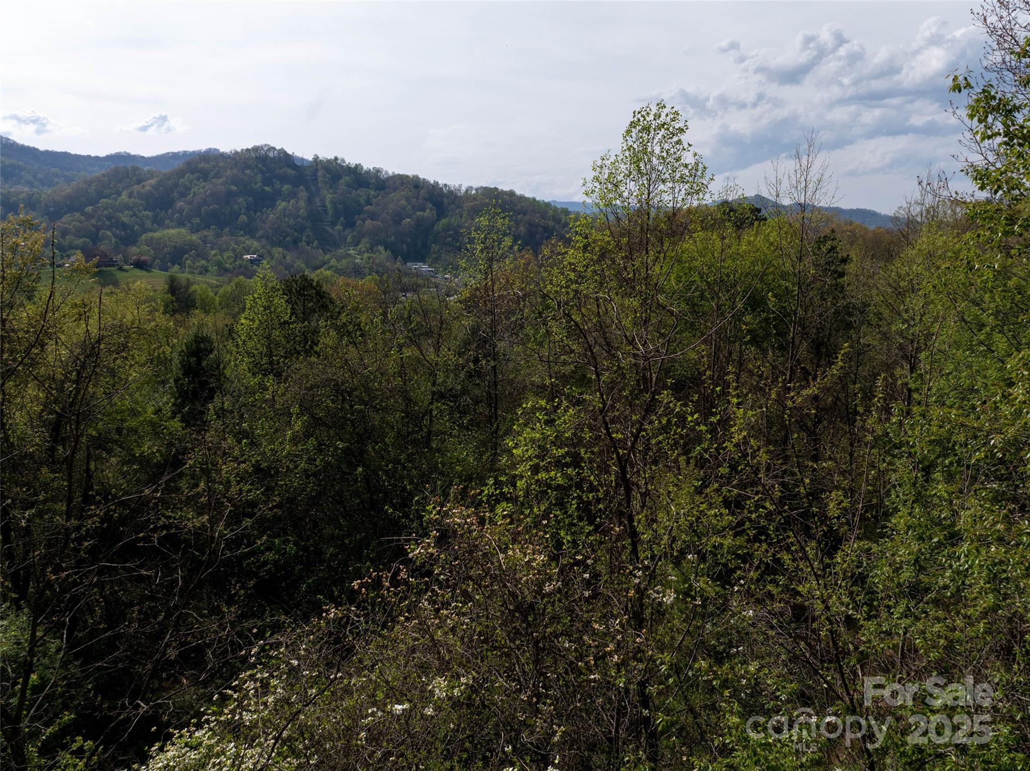 Lot 39 Sunnybrook Trail